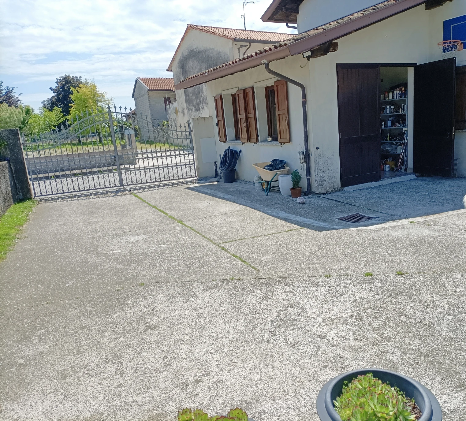 image-19