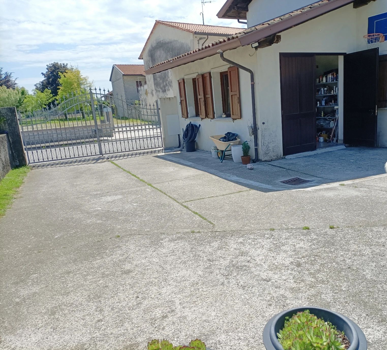 image-19