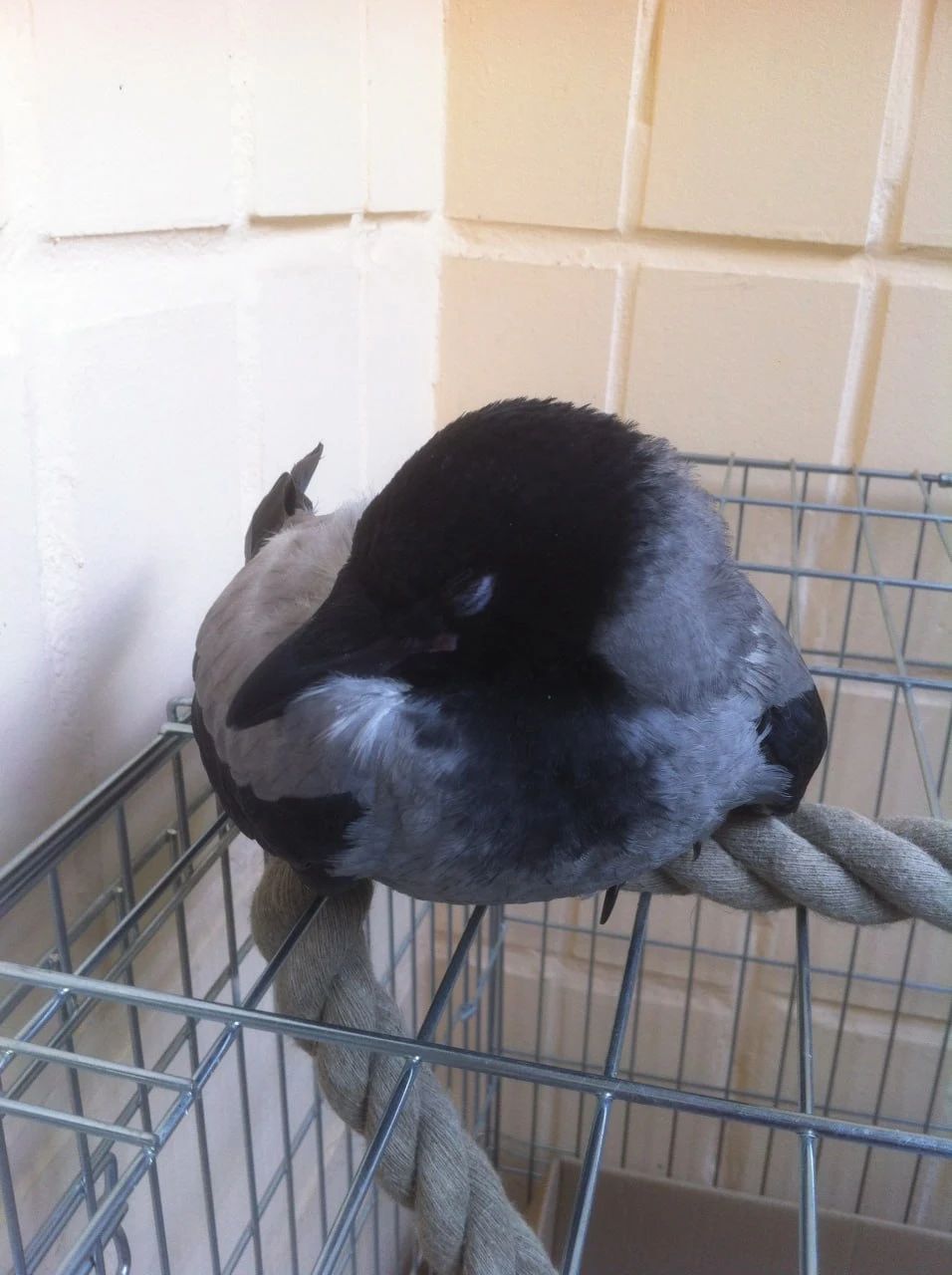 image-17