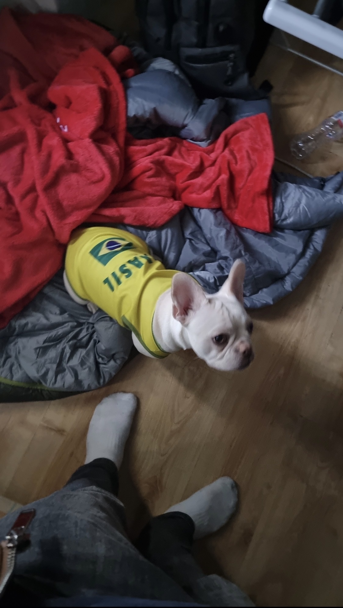 image-5