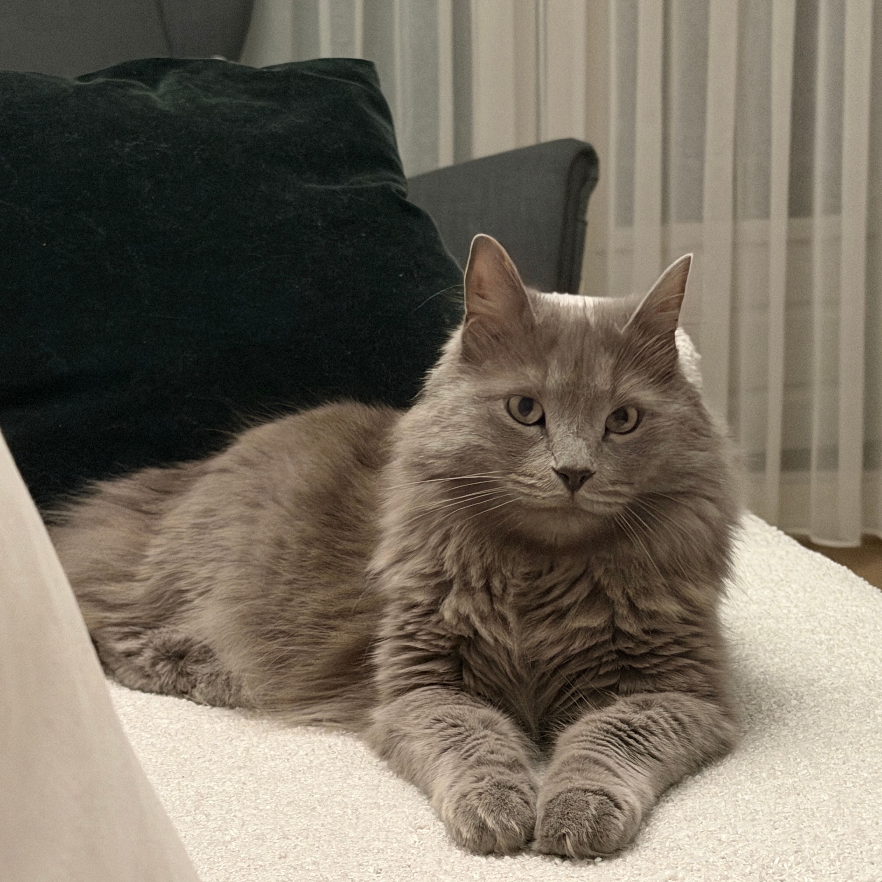 Mia