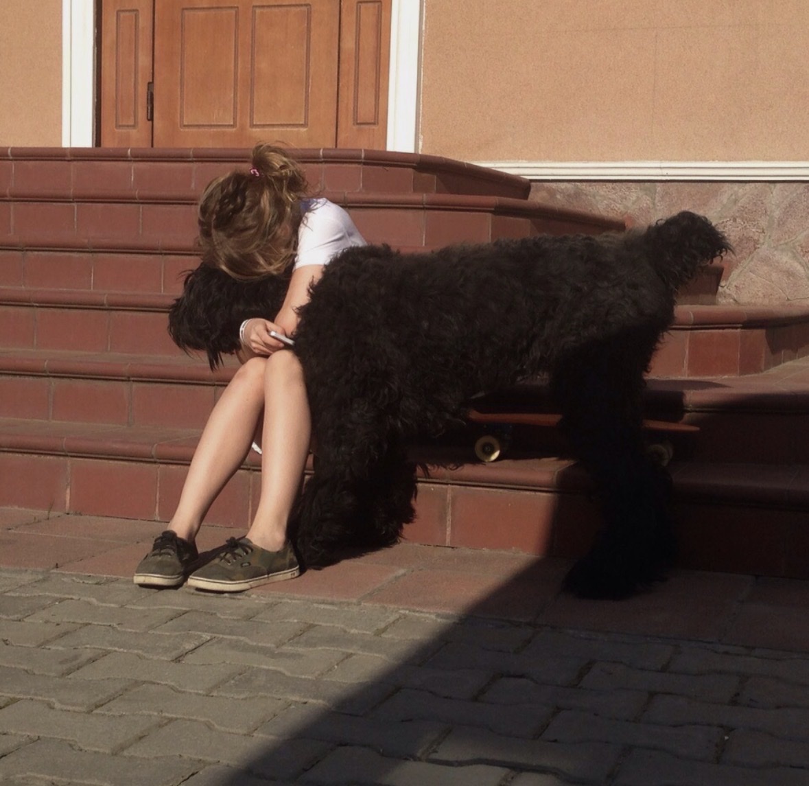 image-3