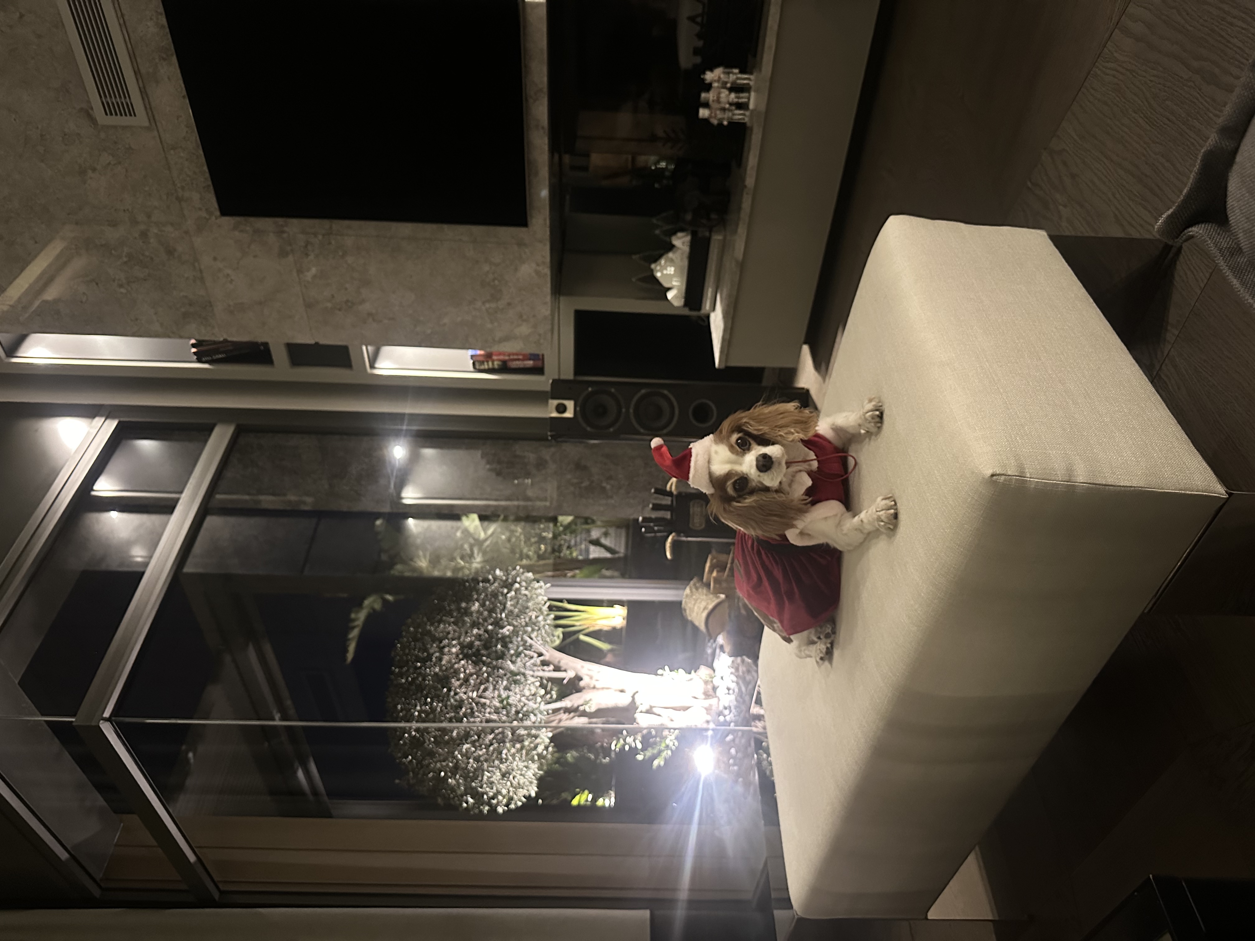 image-13