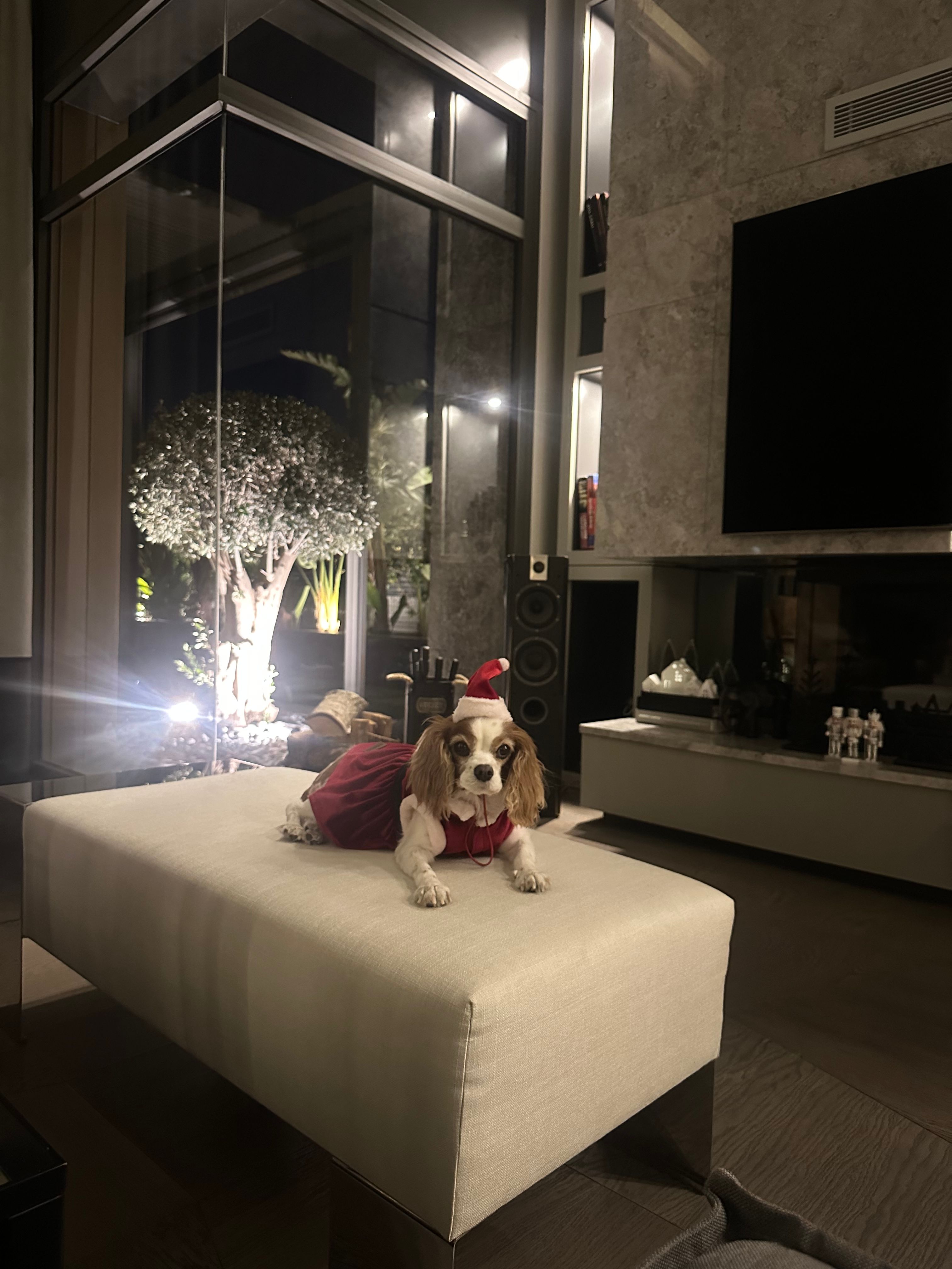 image-13