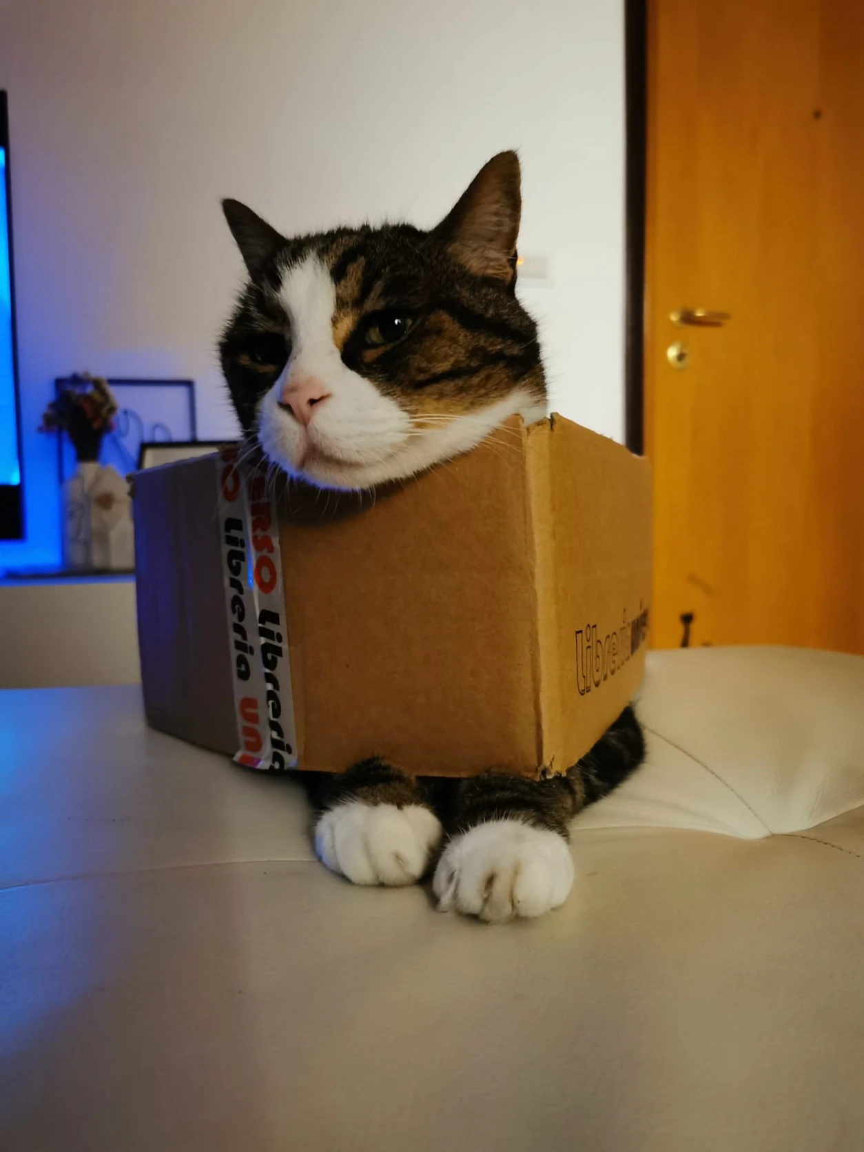 image-6
