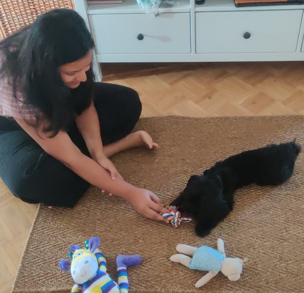 image-10