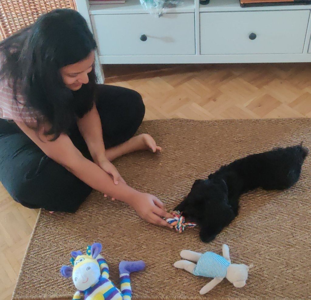 image-10