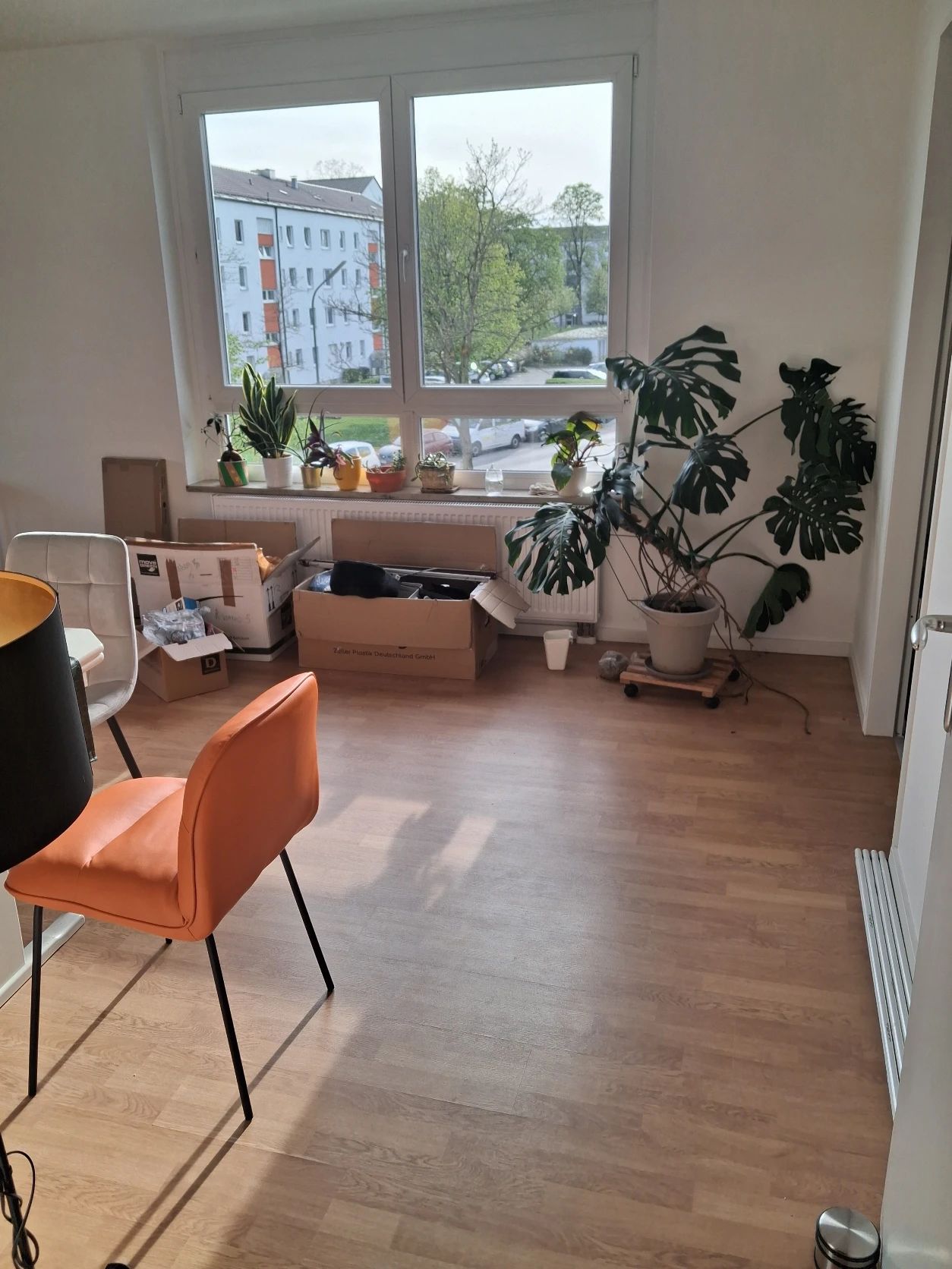 image-19