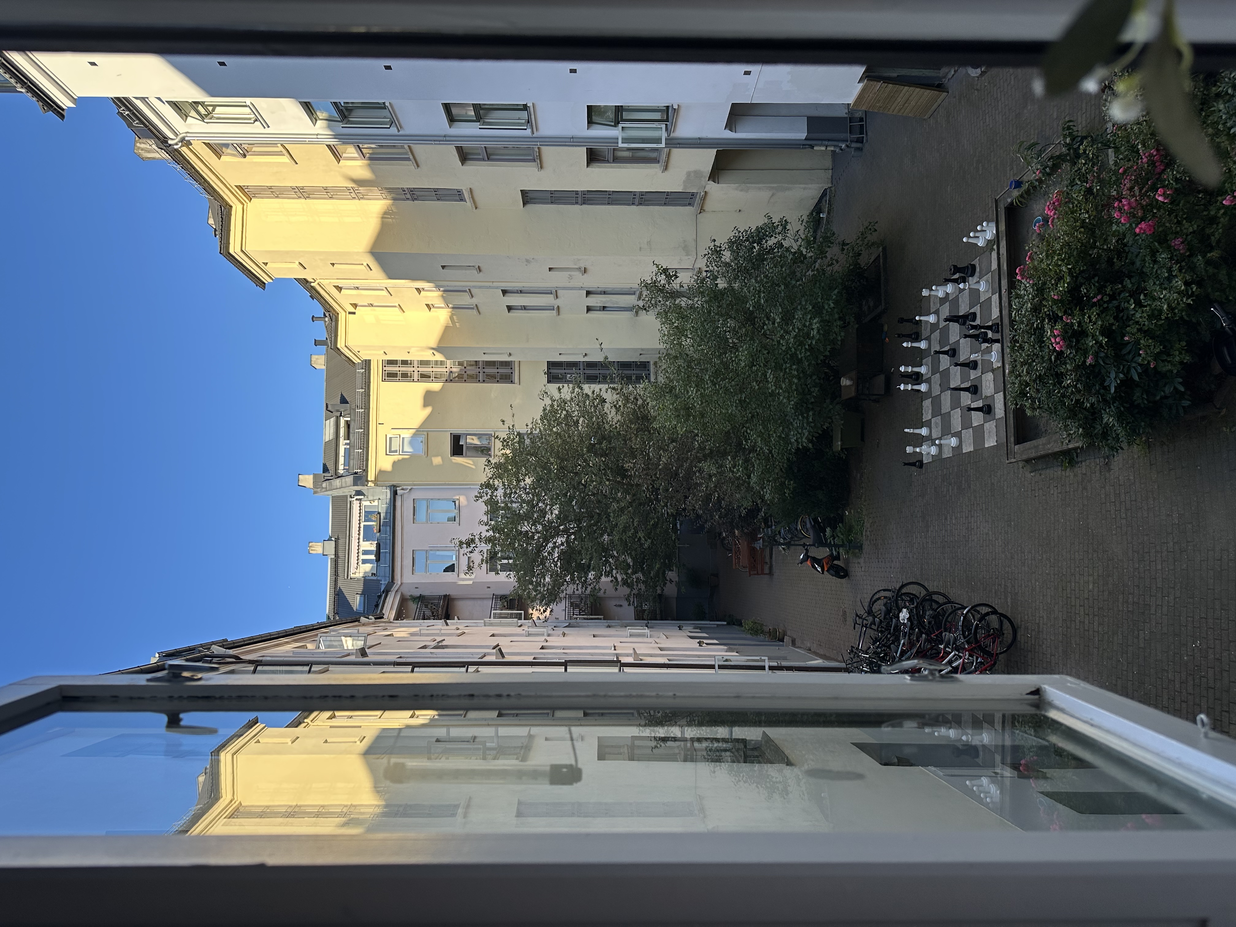 image-20