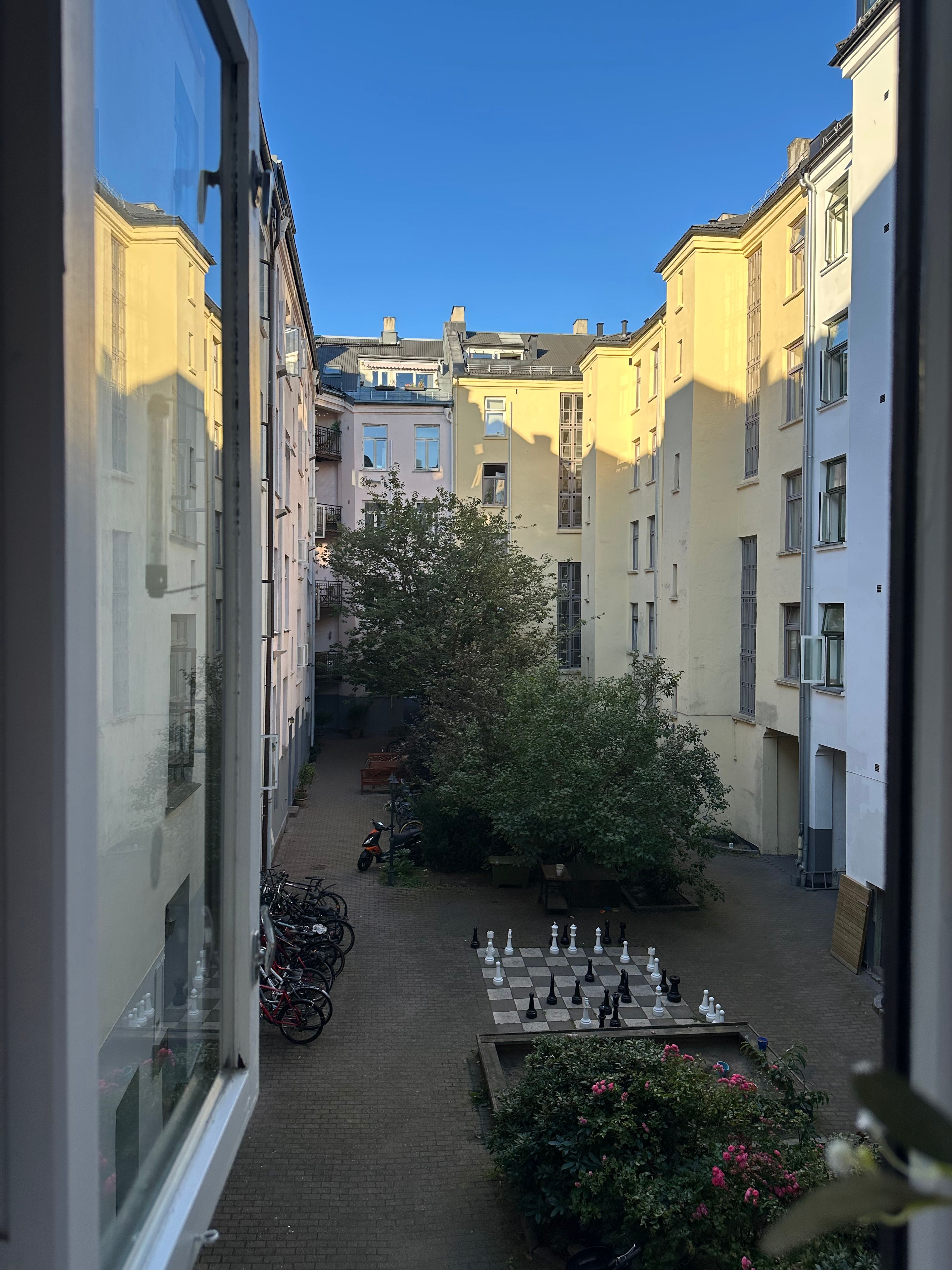 image-20