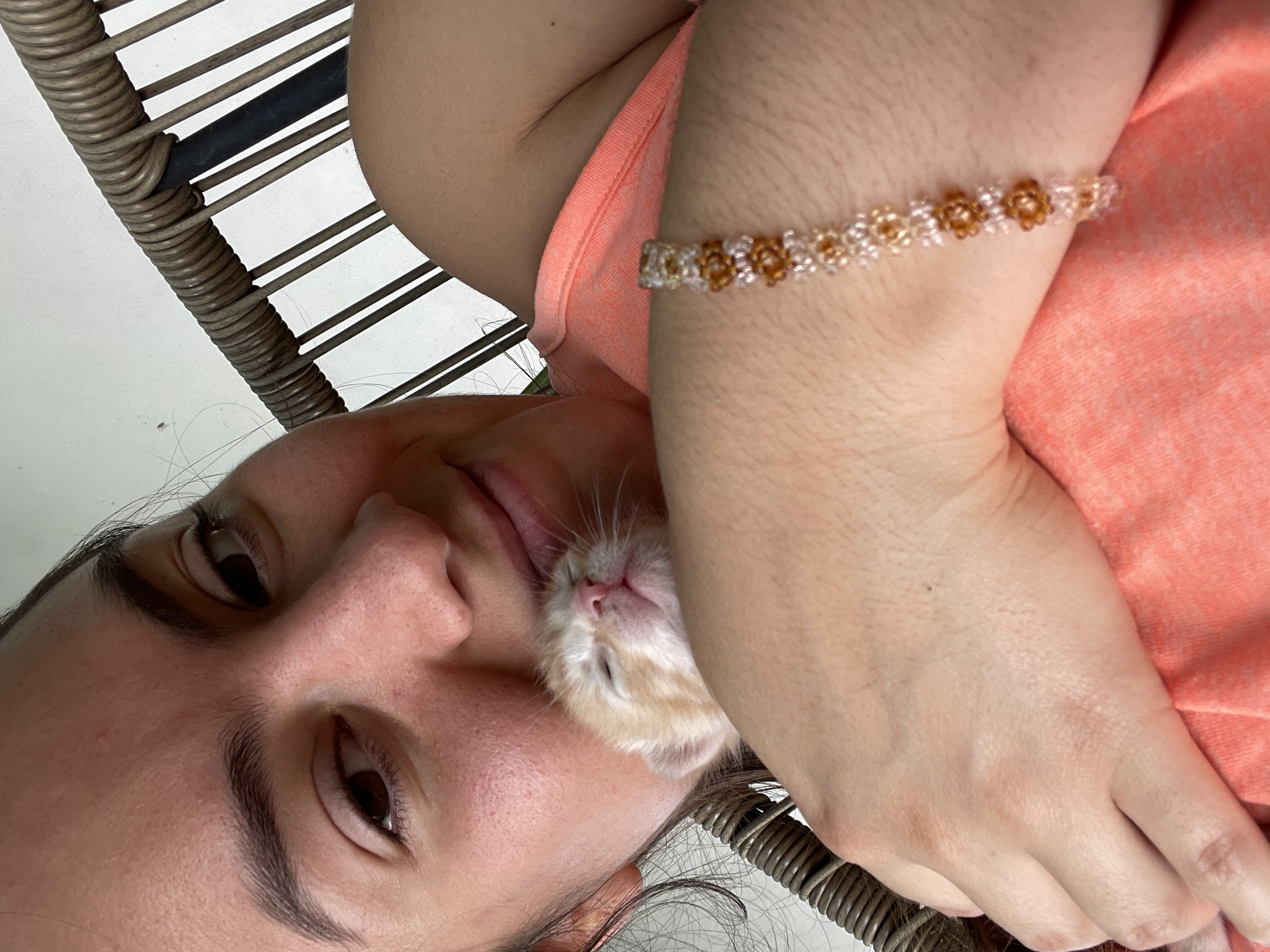 image-5