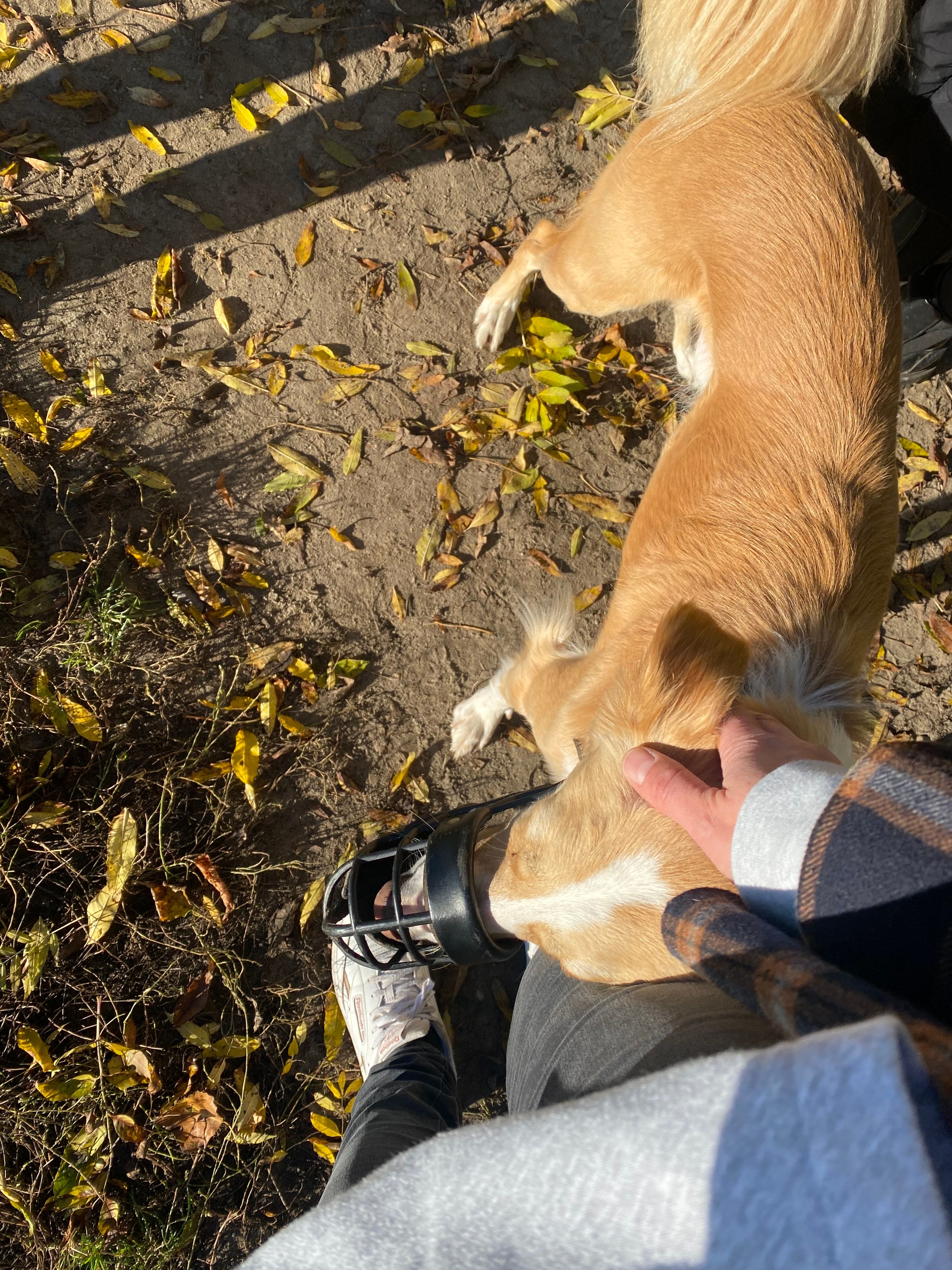 image-6