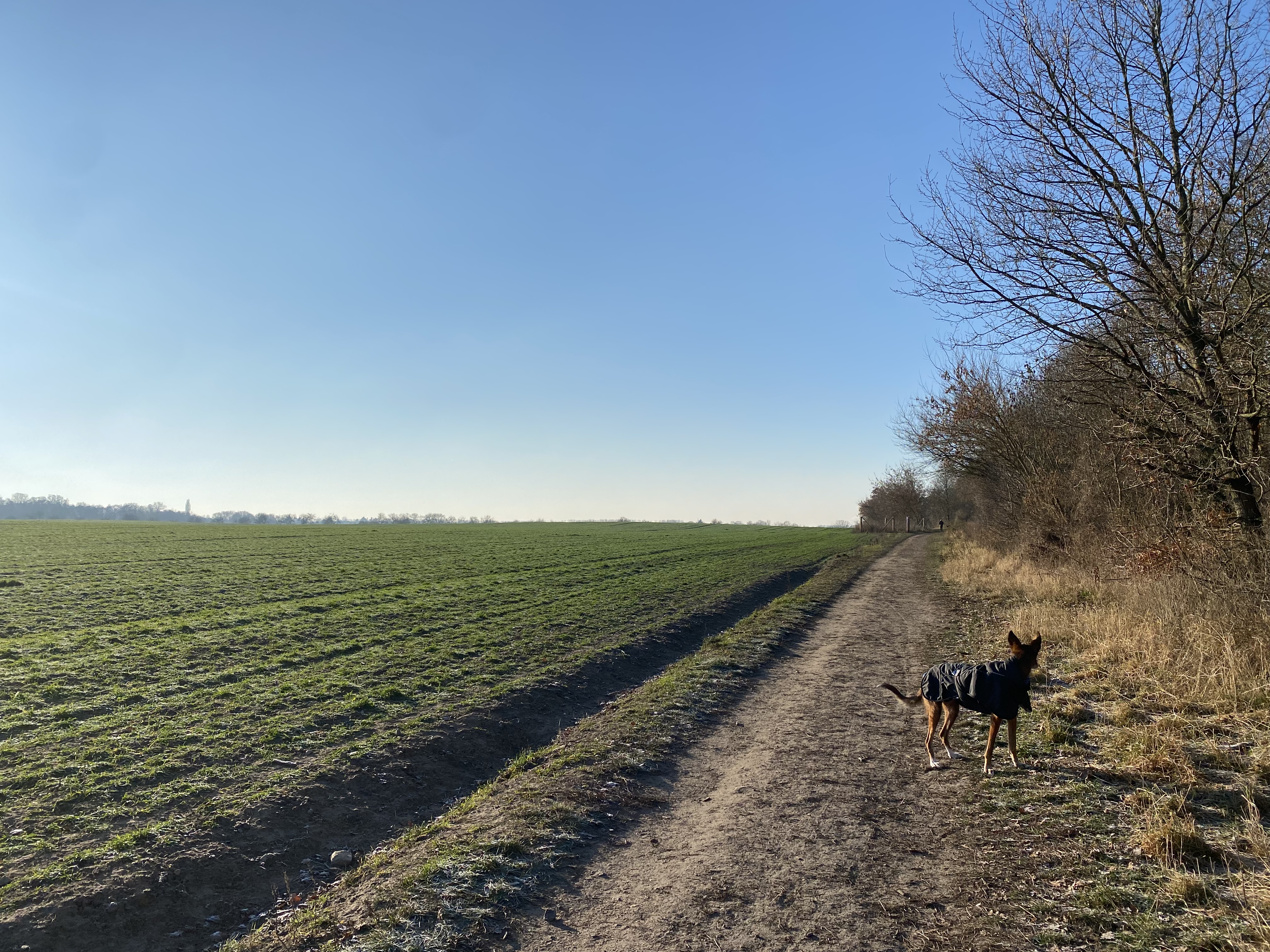 image-13