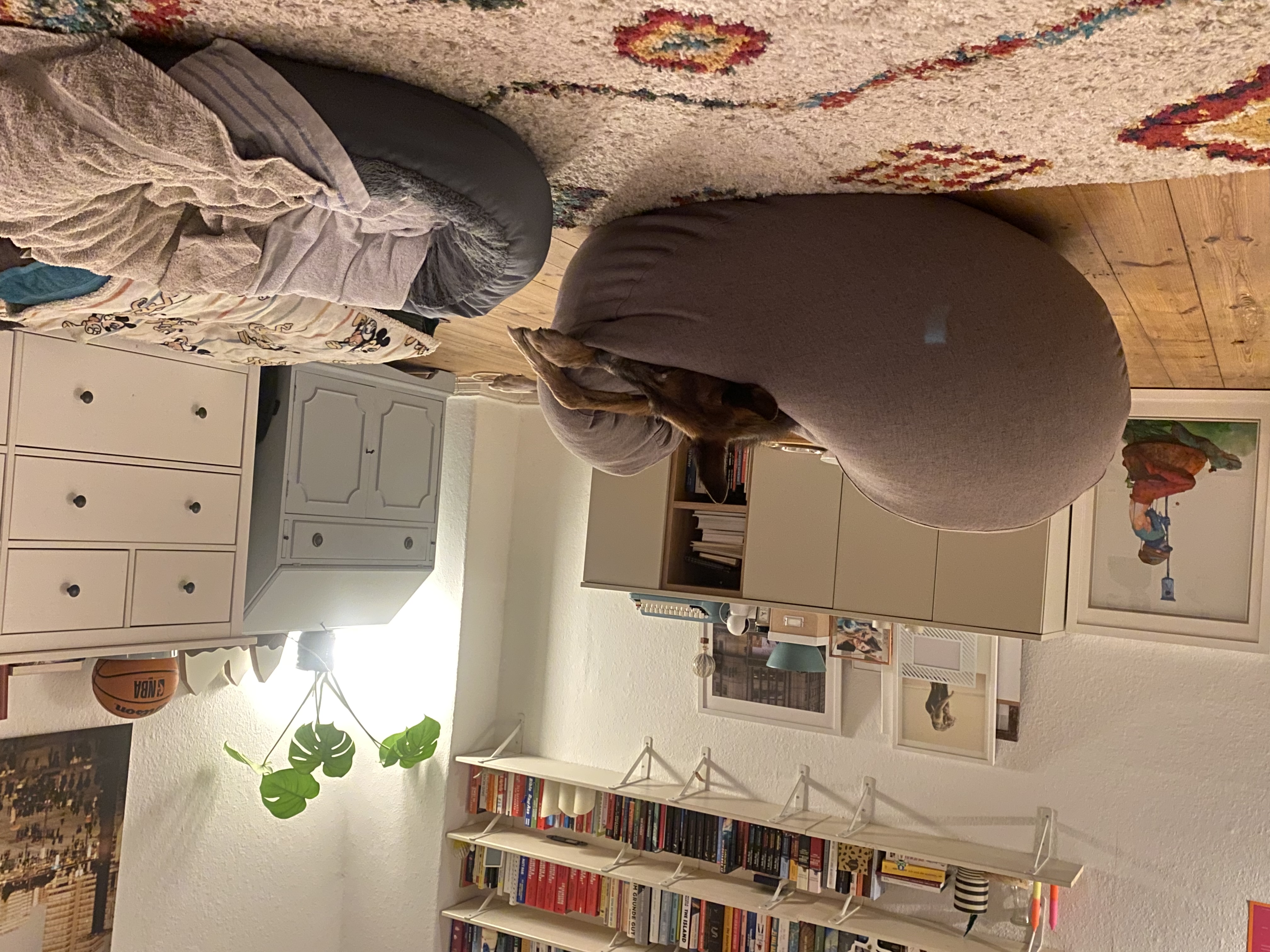 image-16