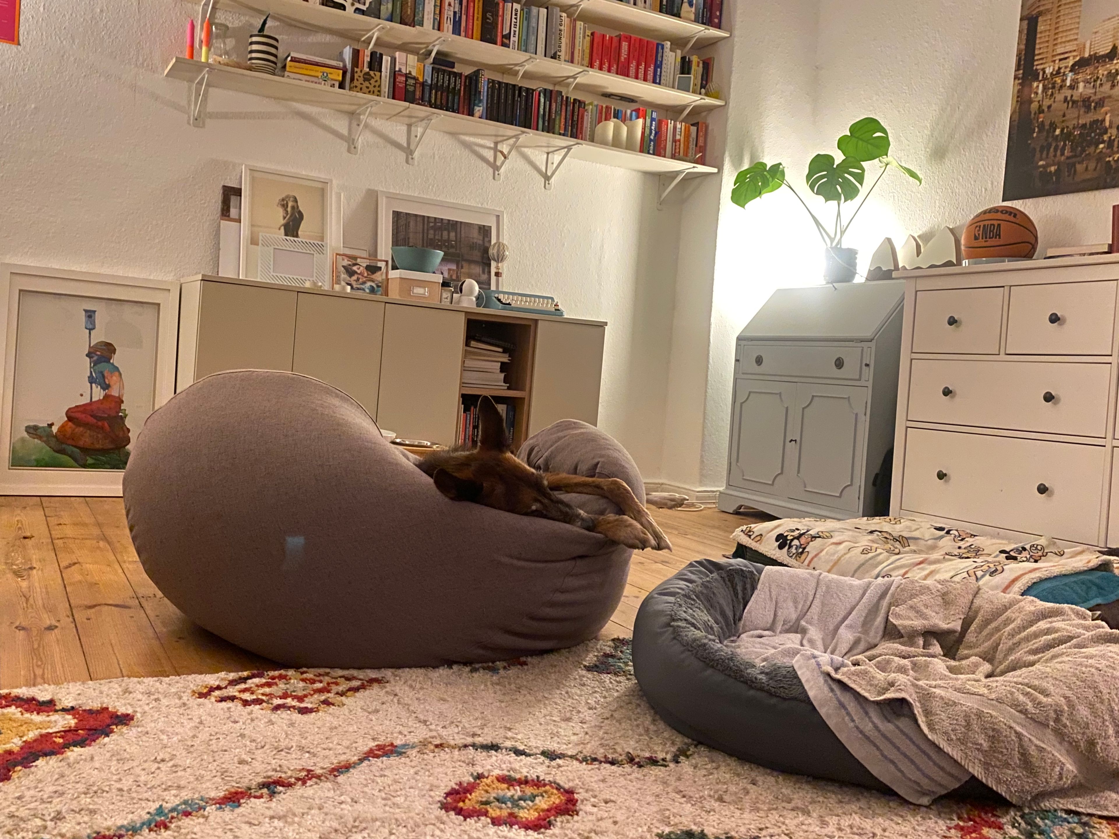 image-16