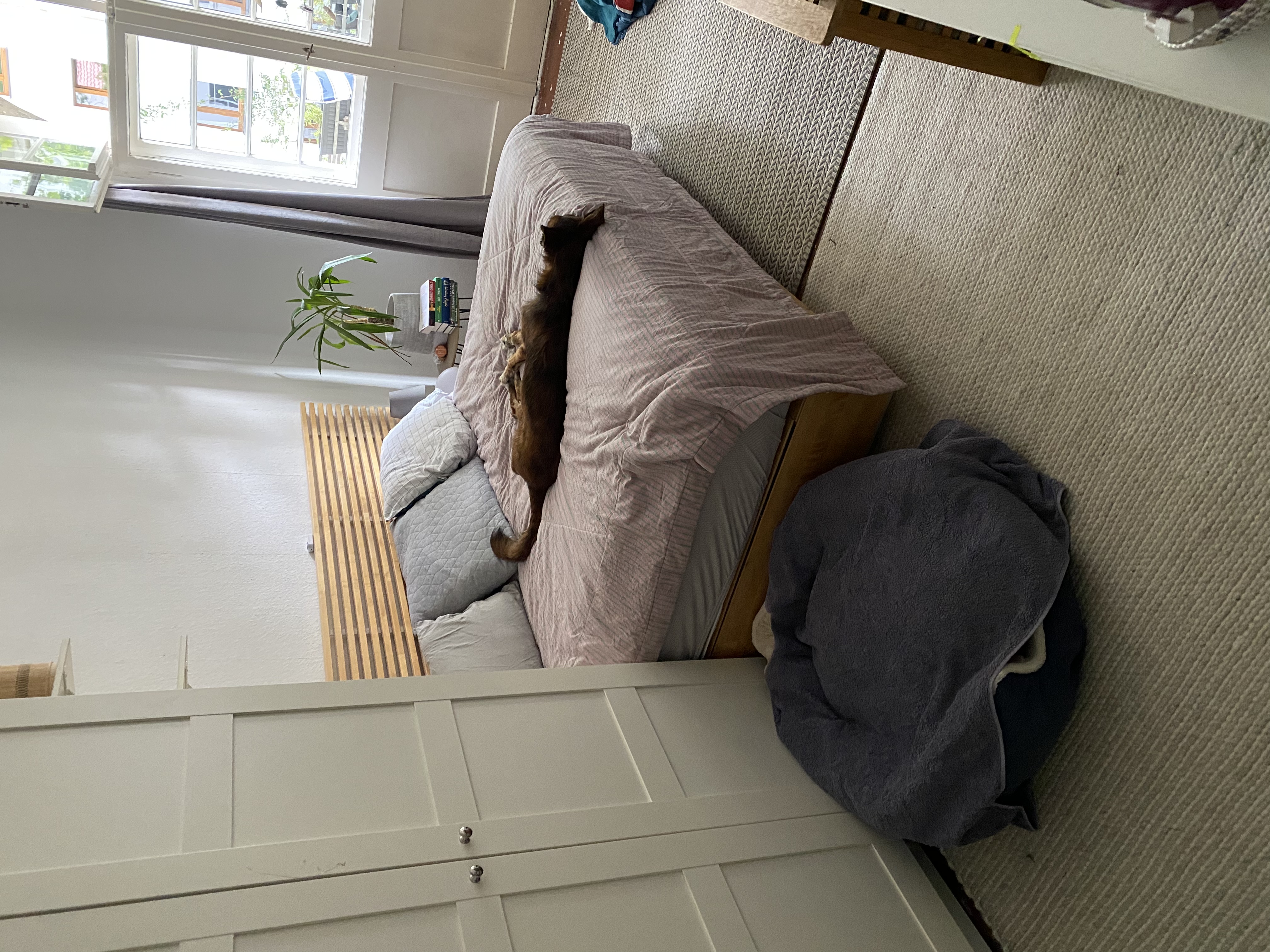 image-18