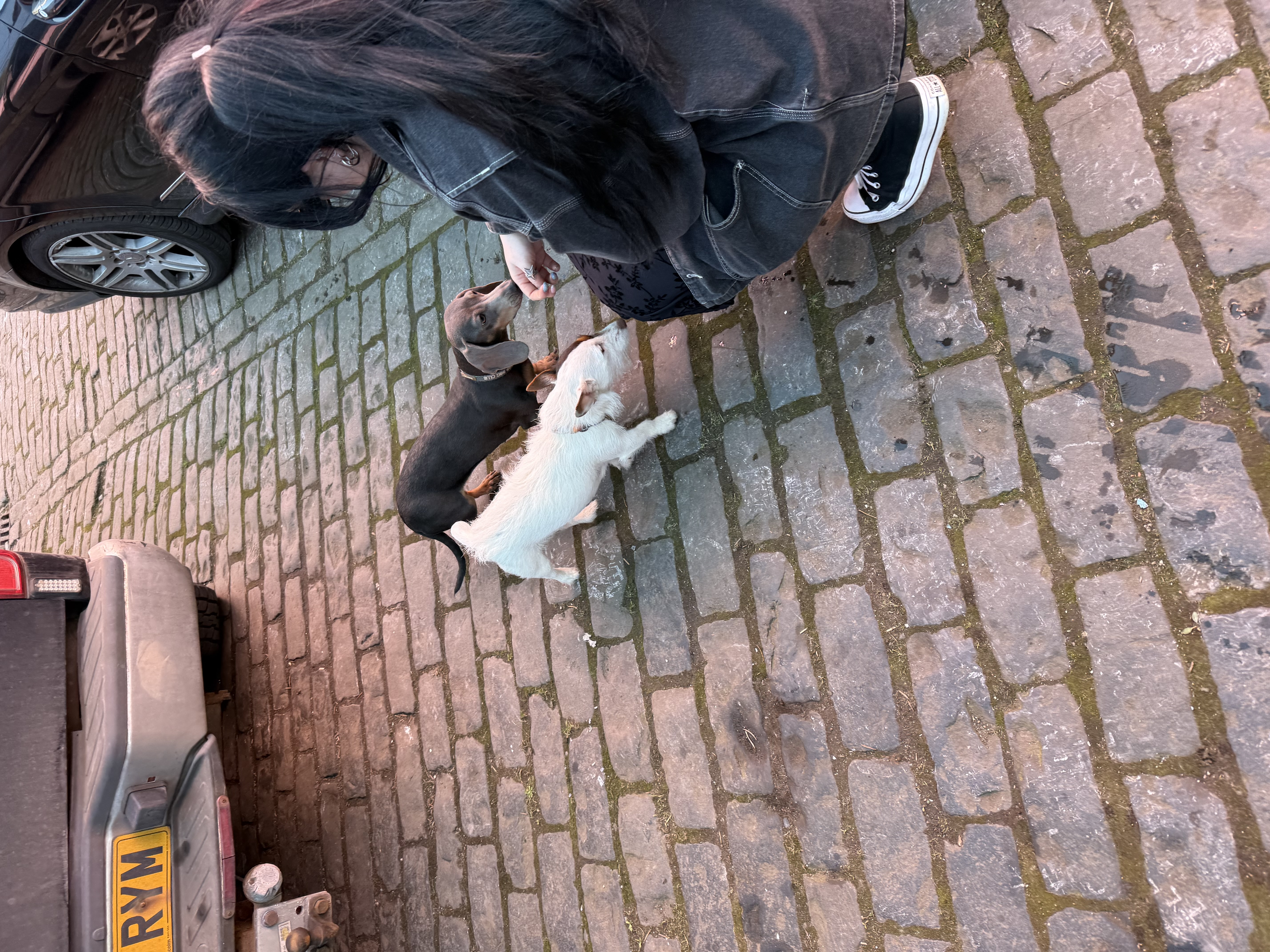 image-3
