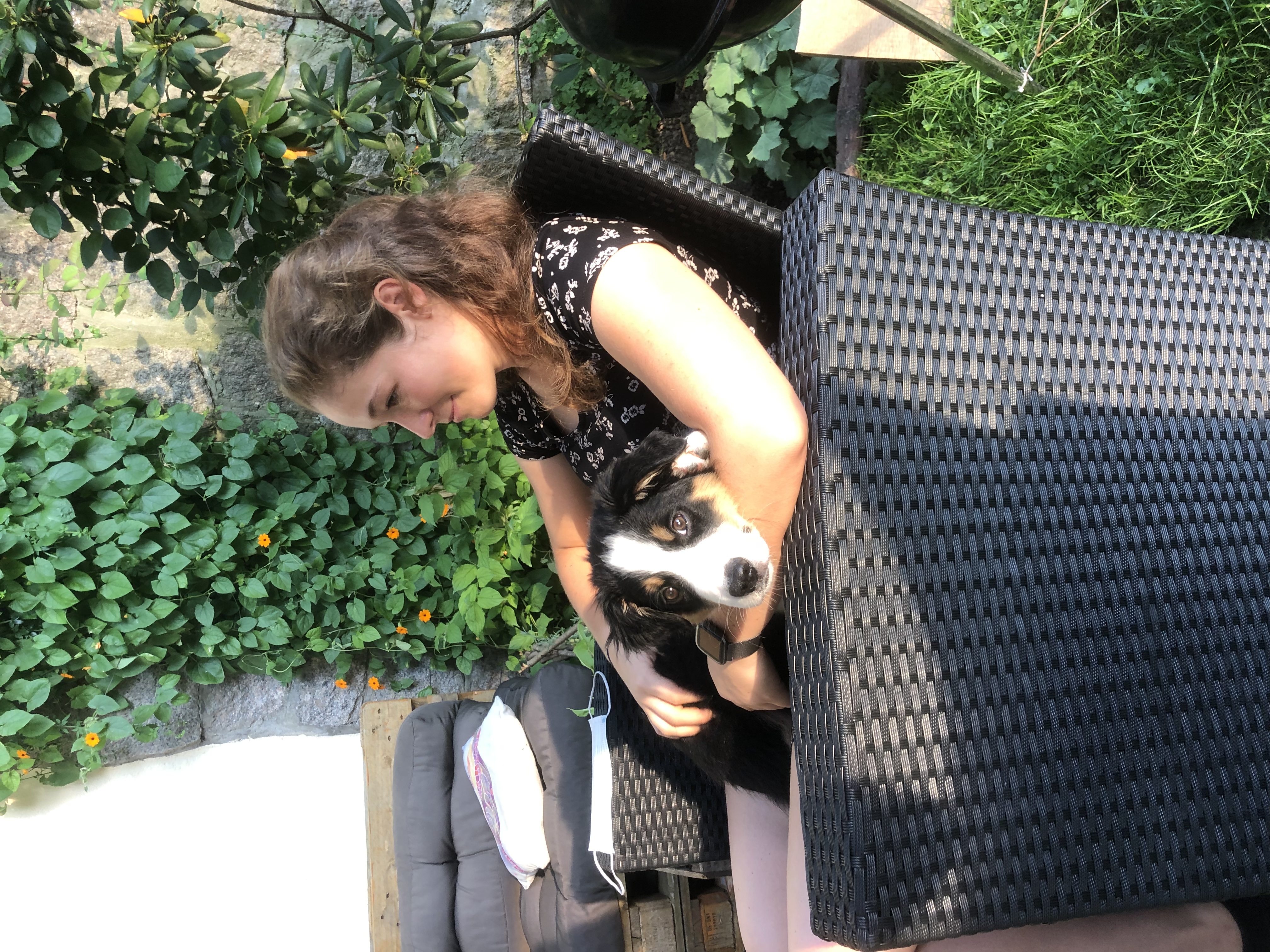 image-6