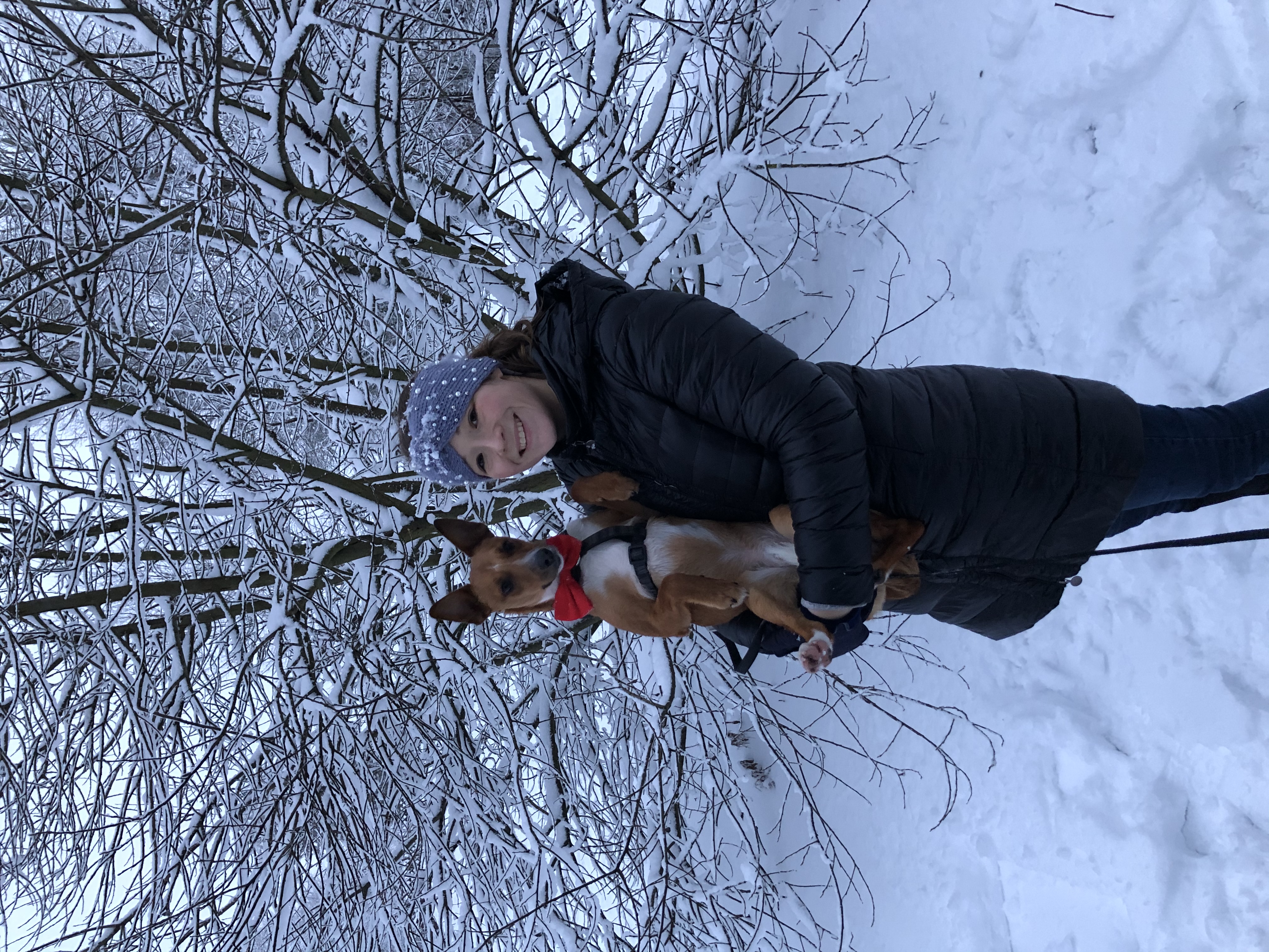 image-8