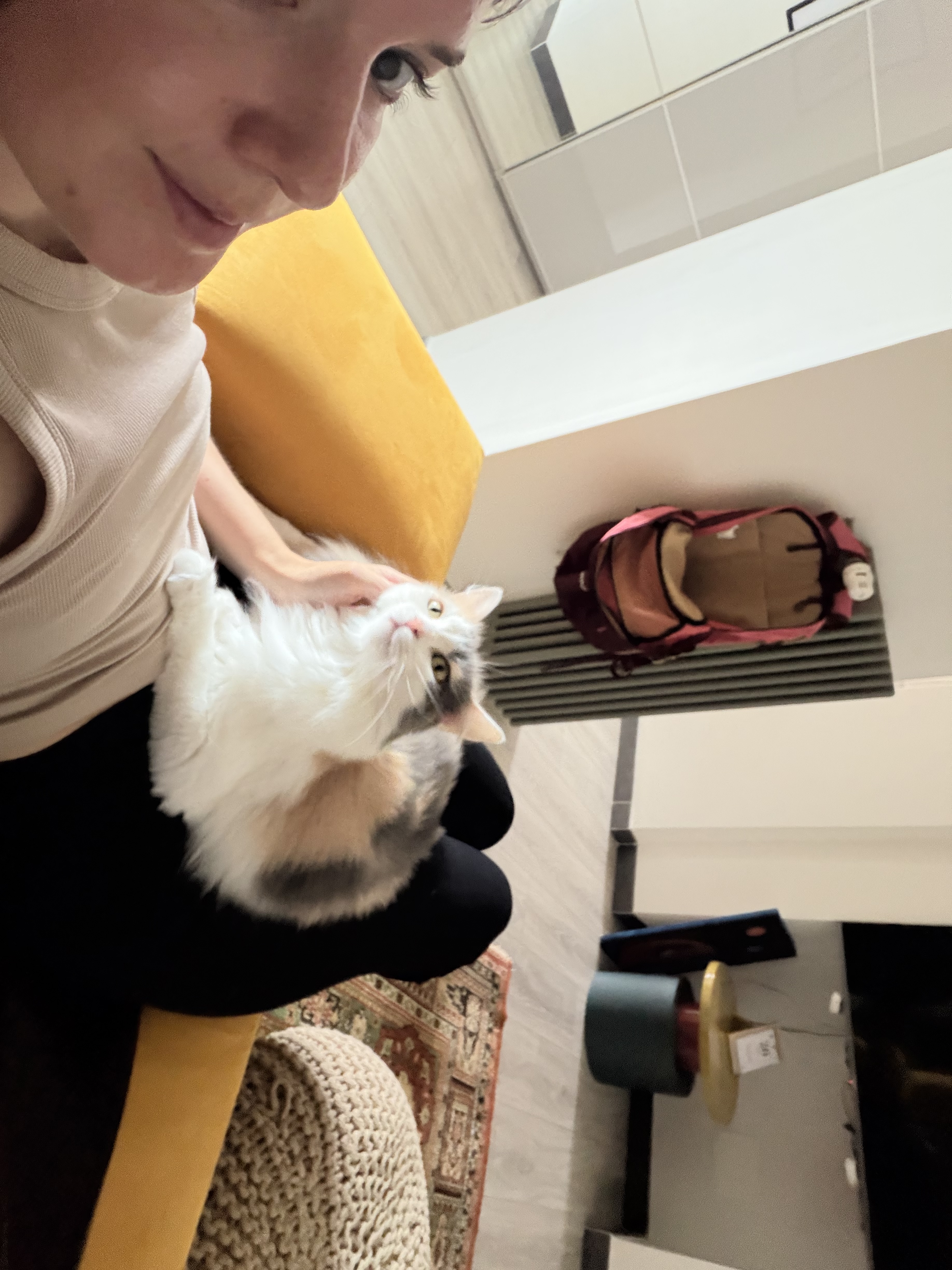 image-8