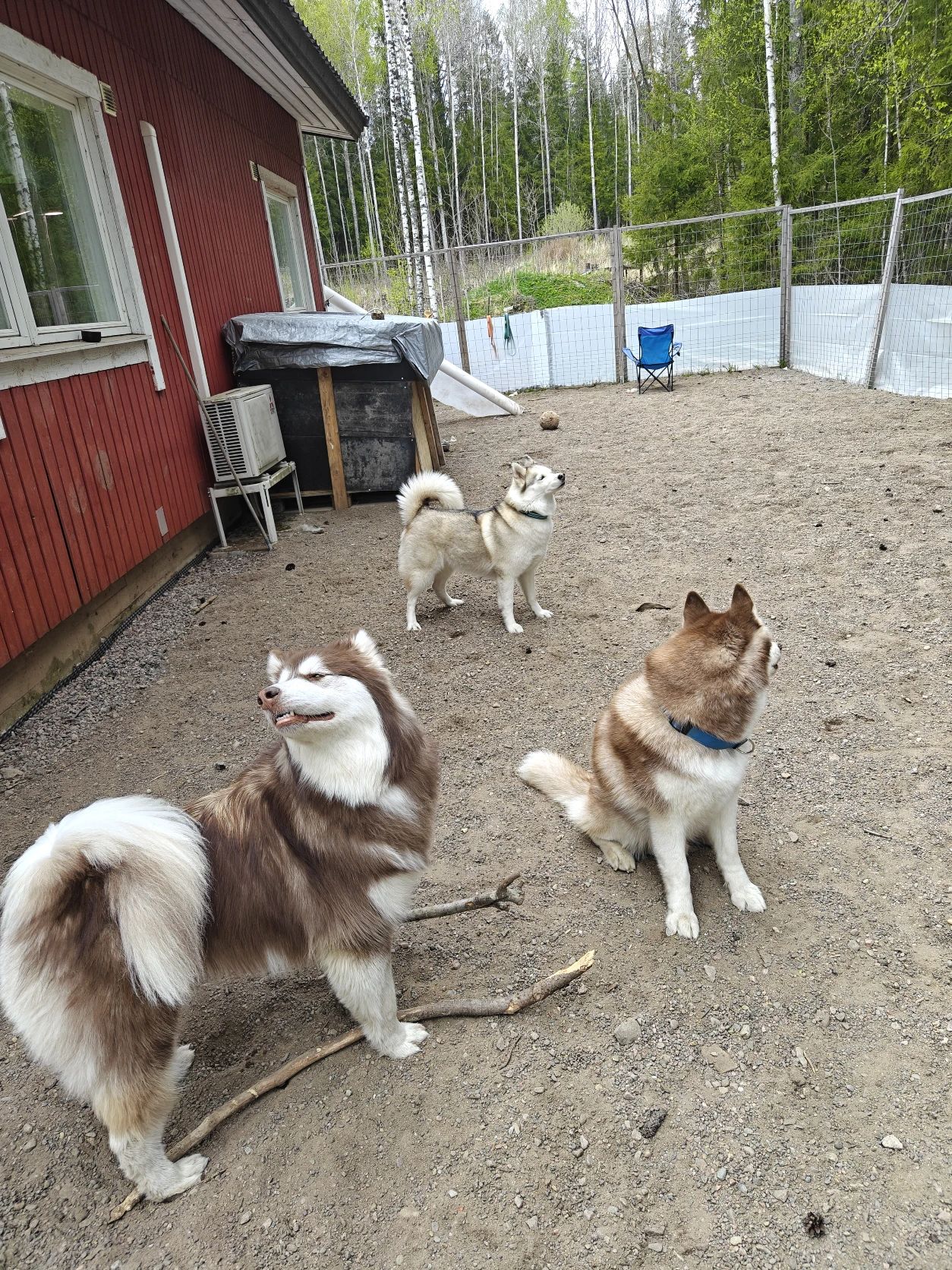 image-16