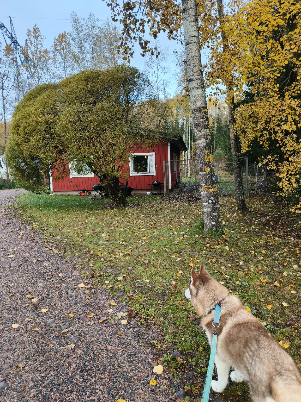 image-20