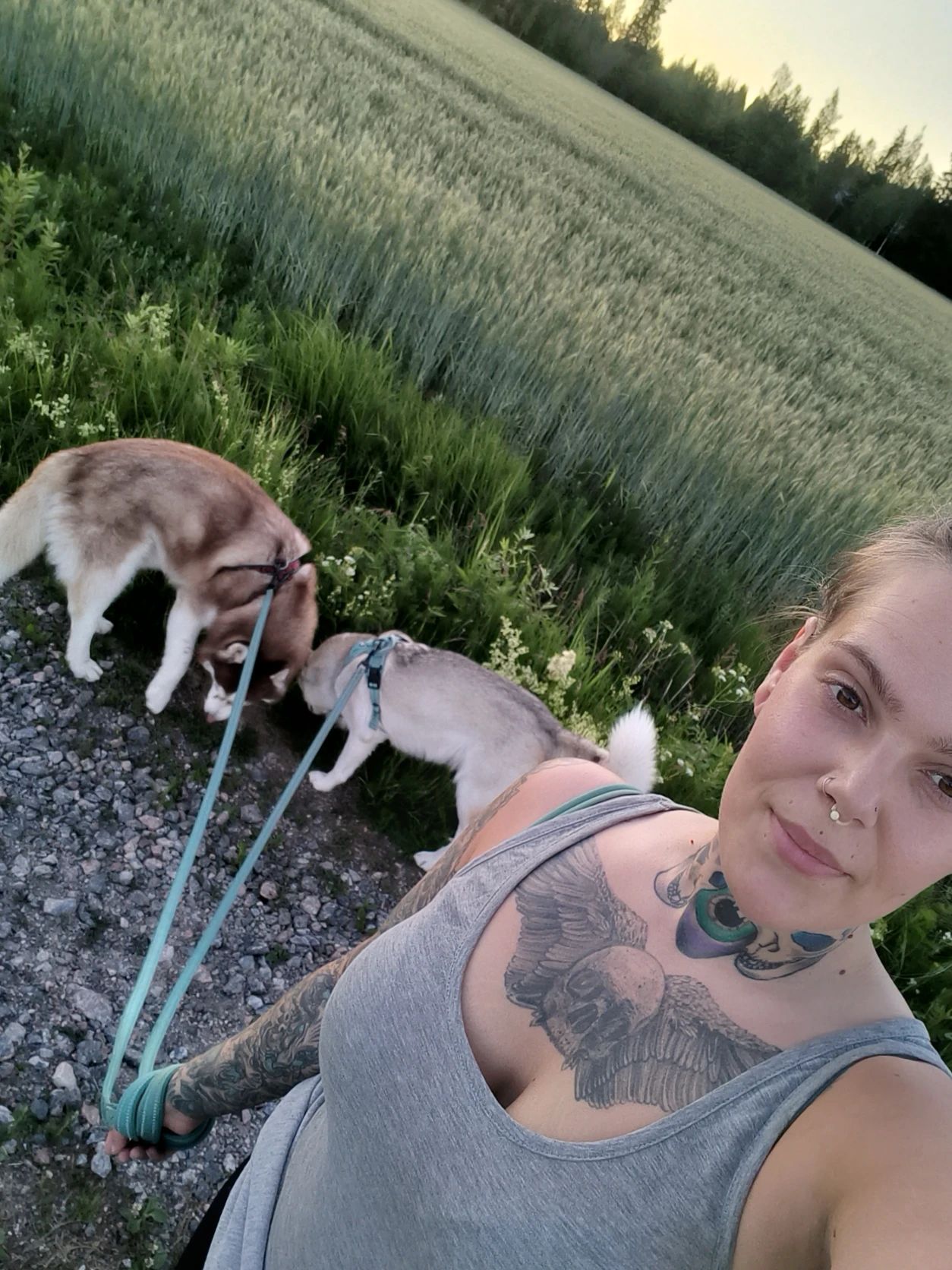 image-13