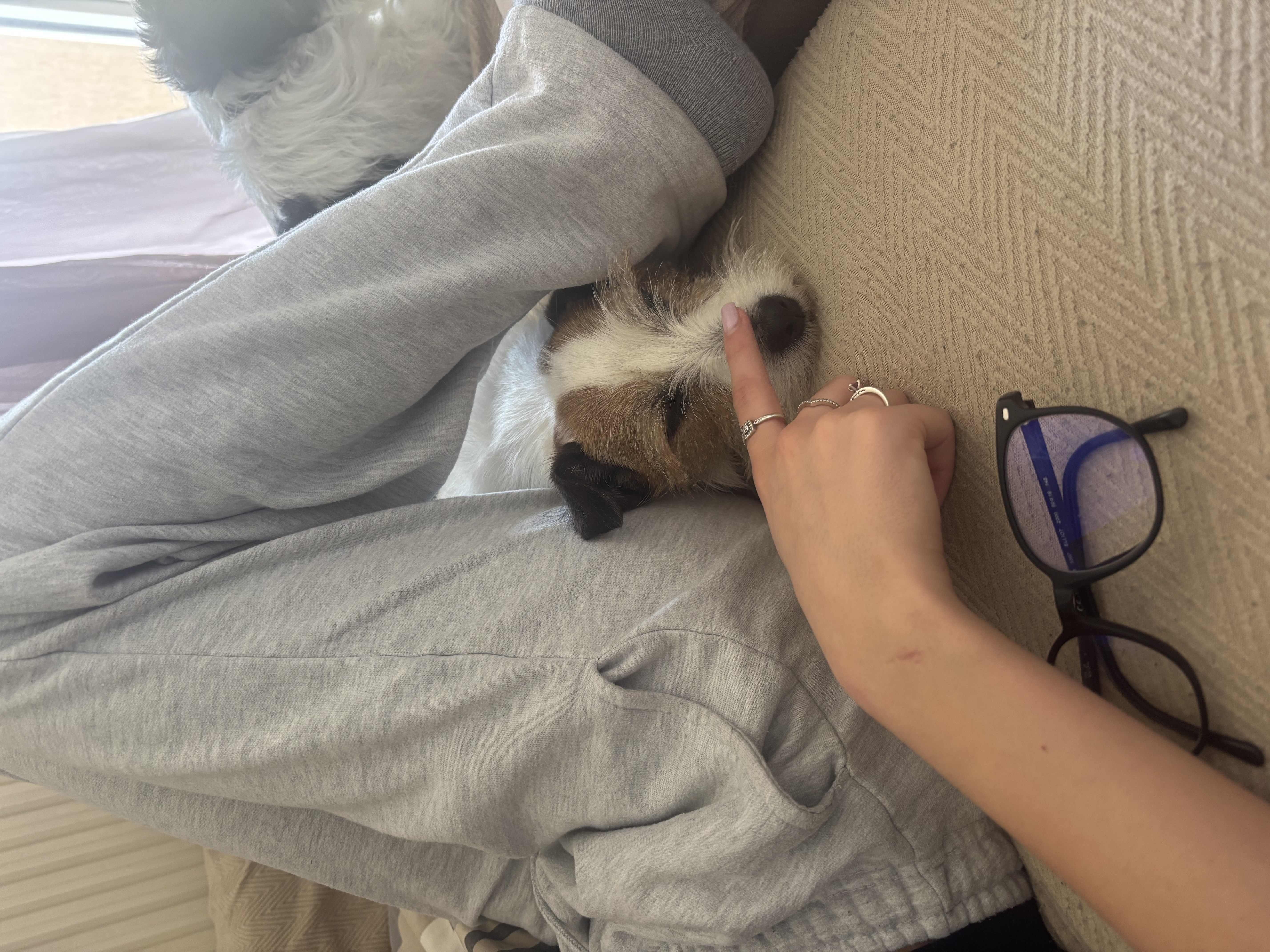 image-8