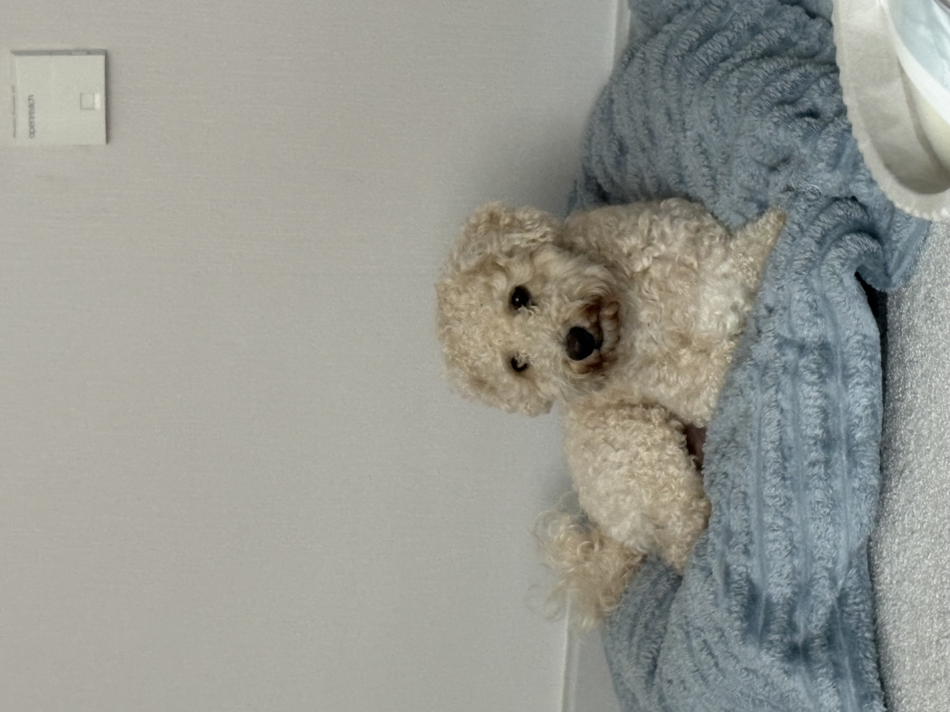 image-11