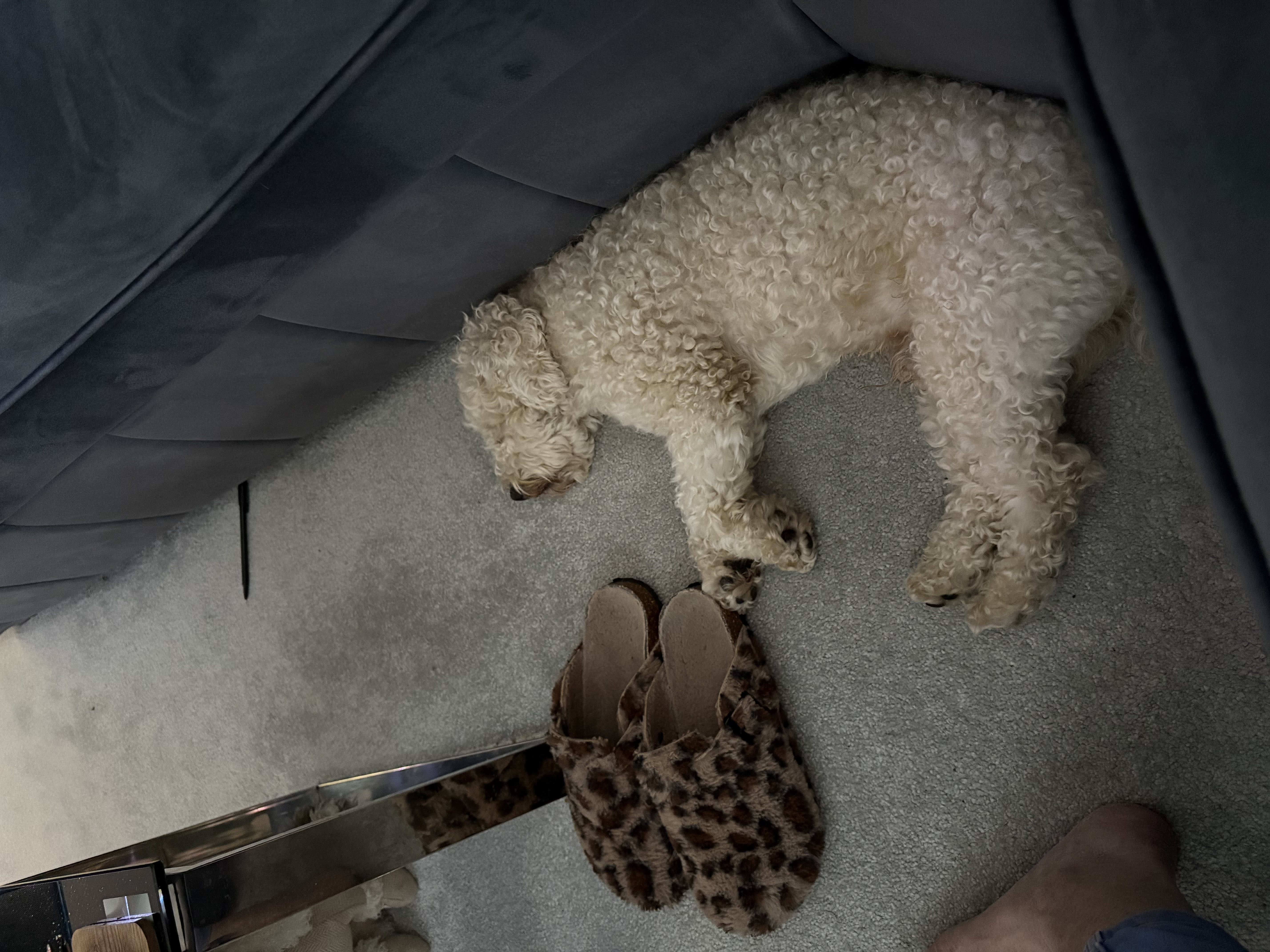 image-2