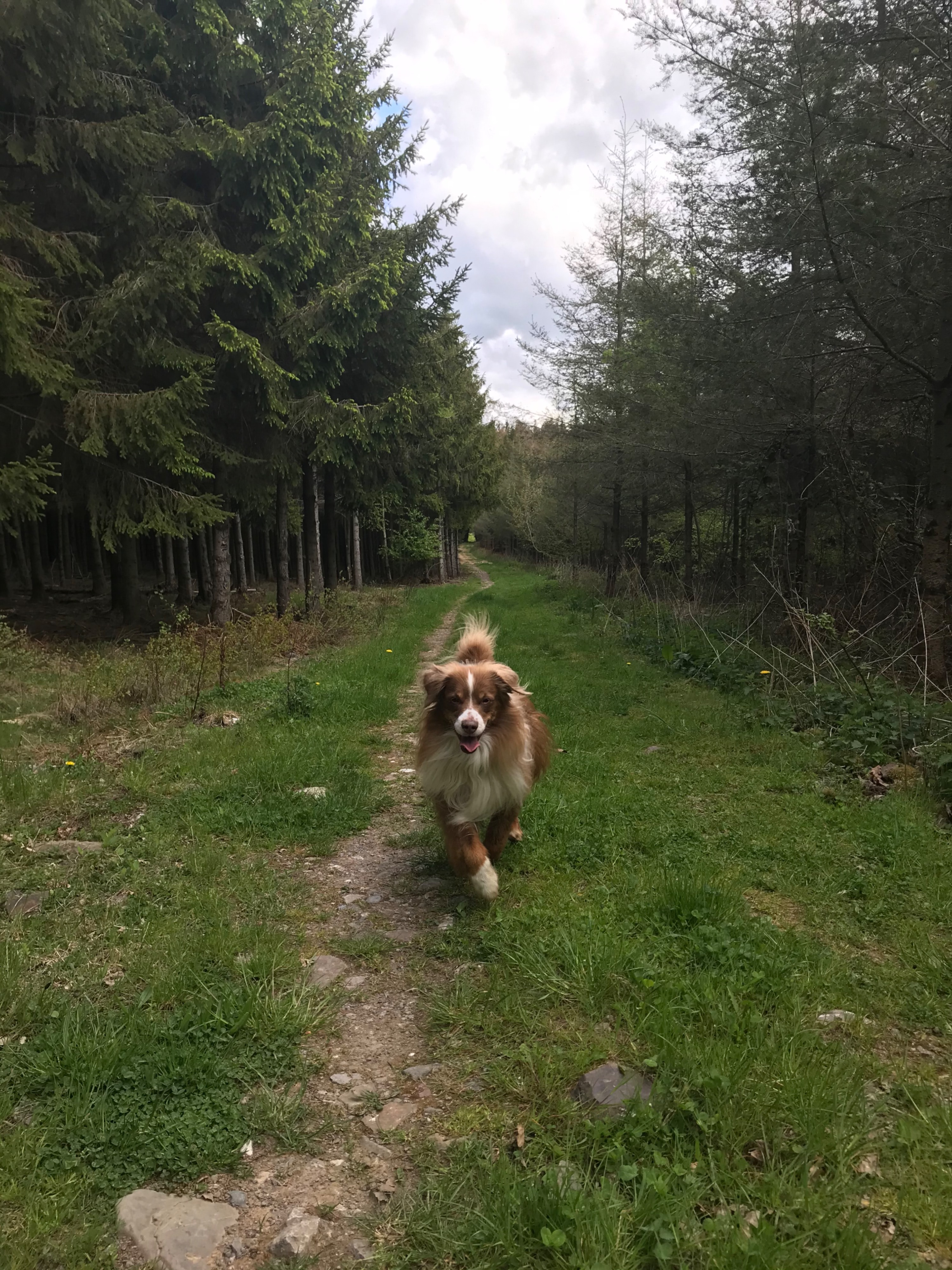 image-7