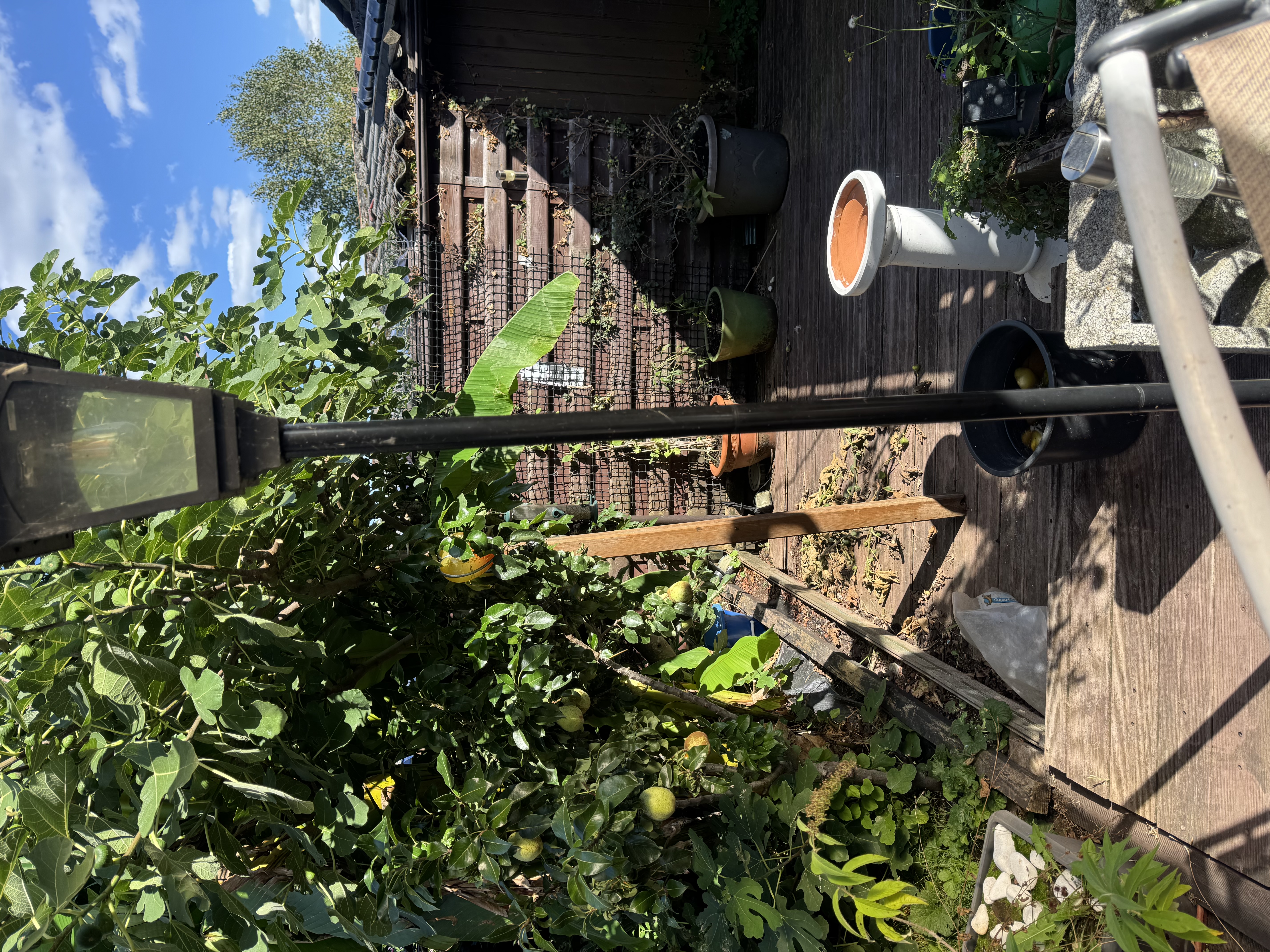 image-14