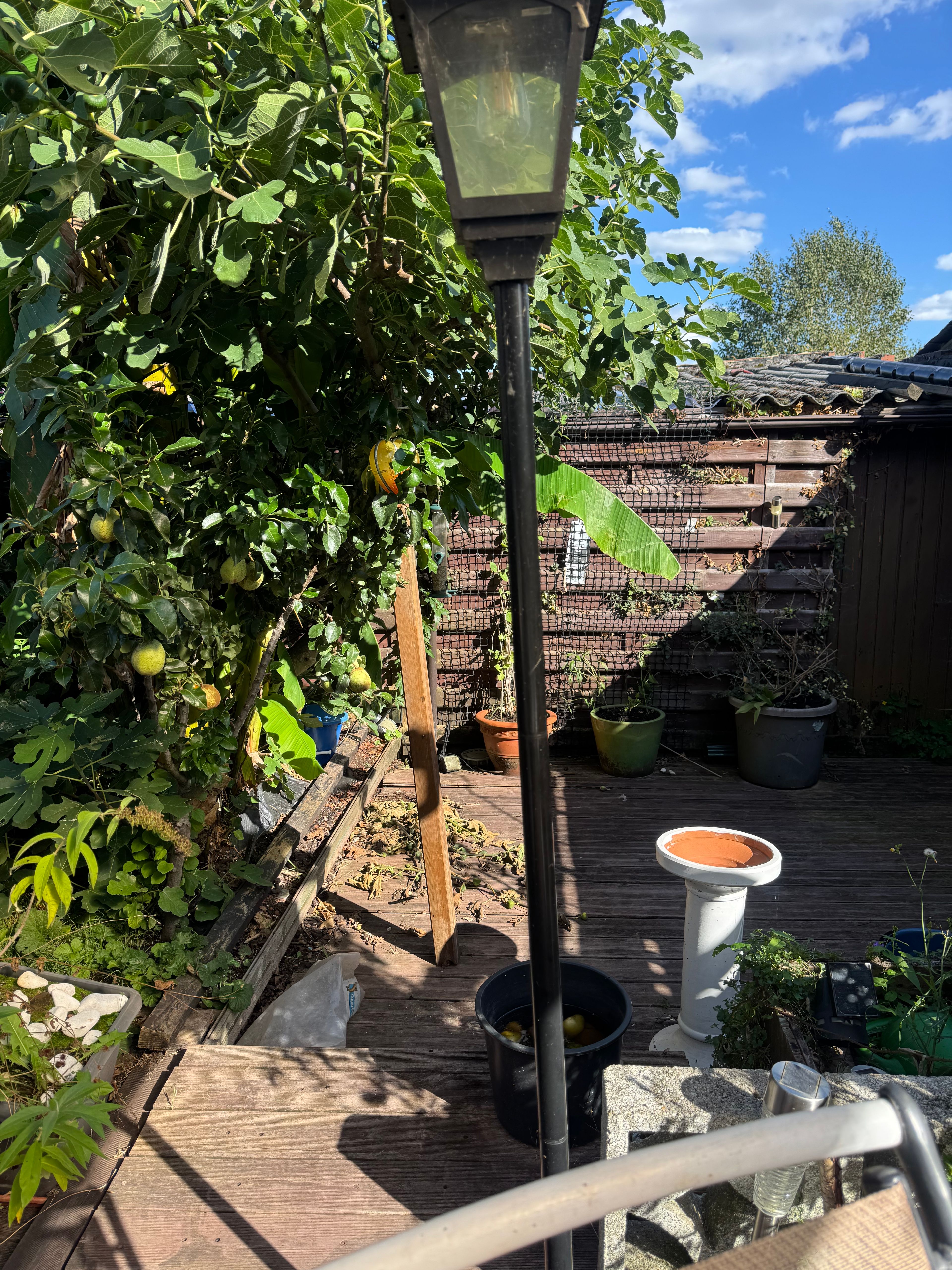 image-14