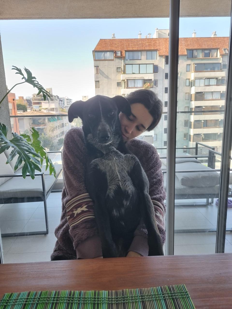 image-8