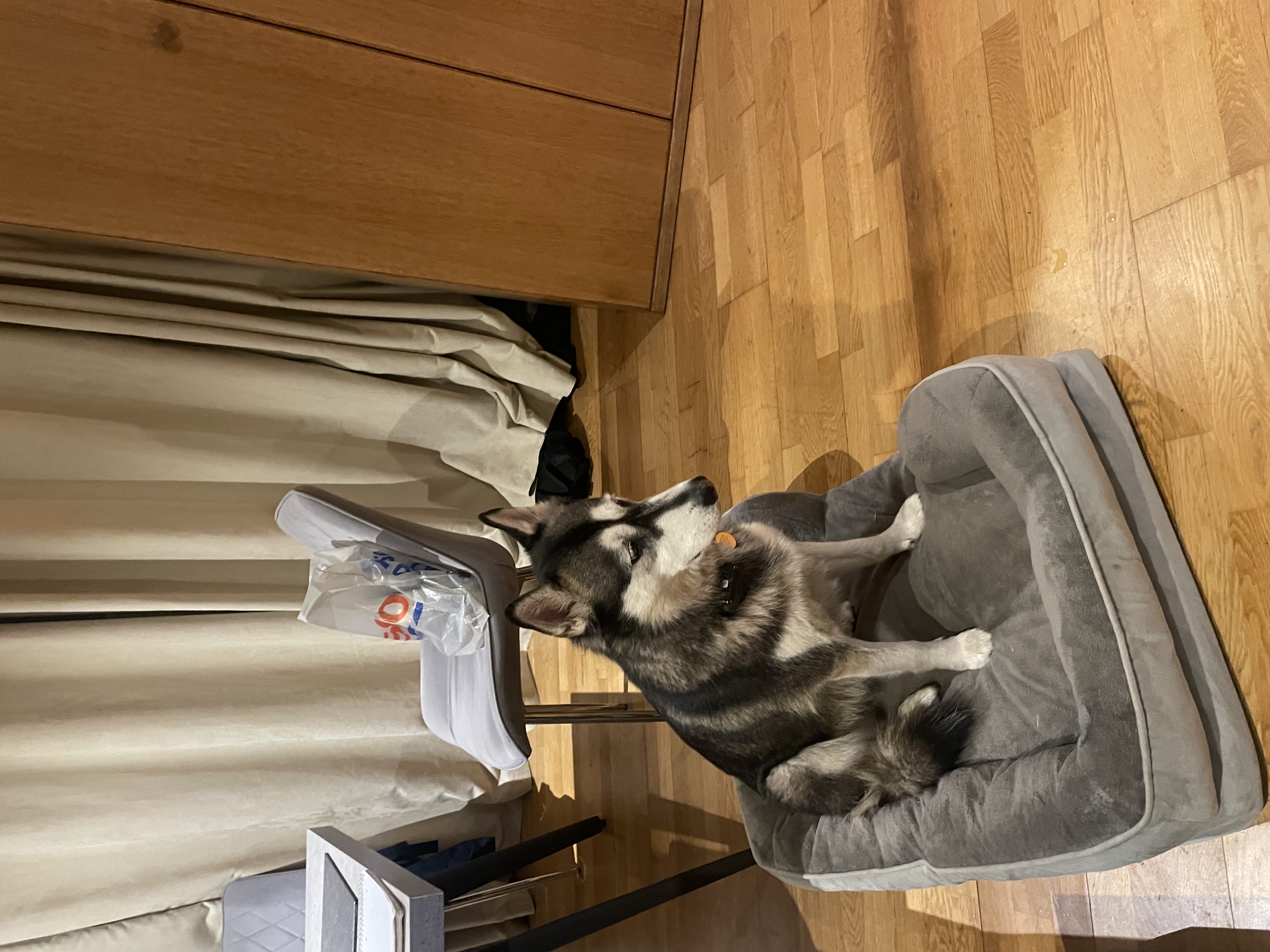 image-16