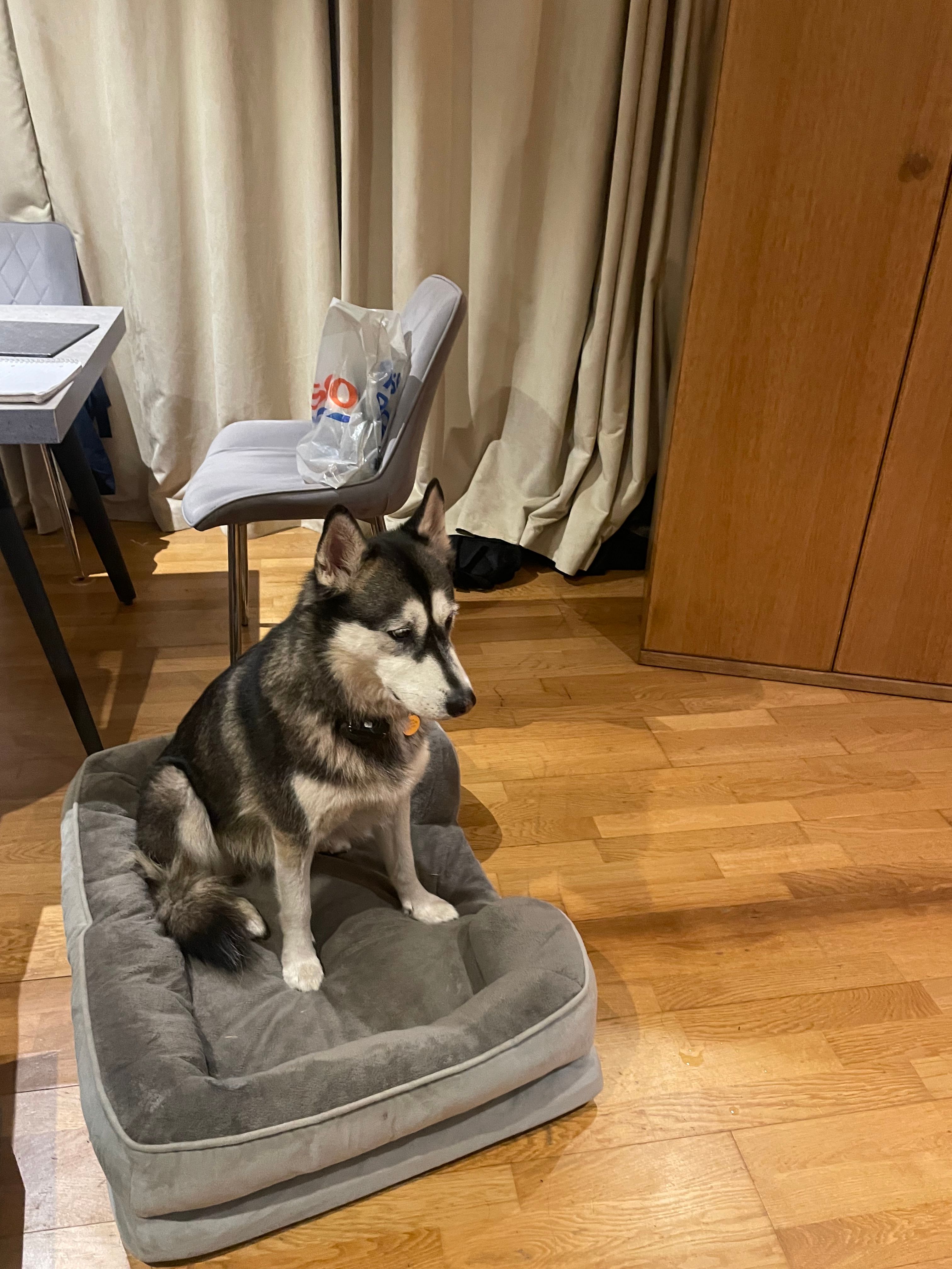 image-16
