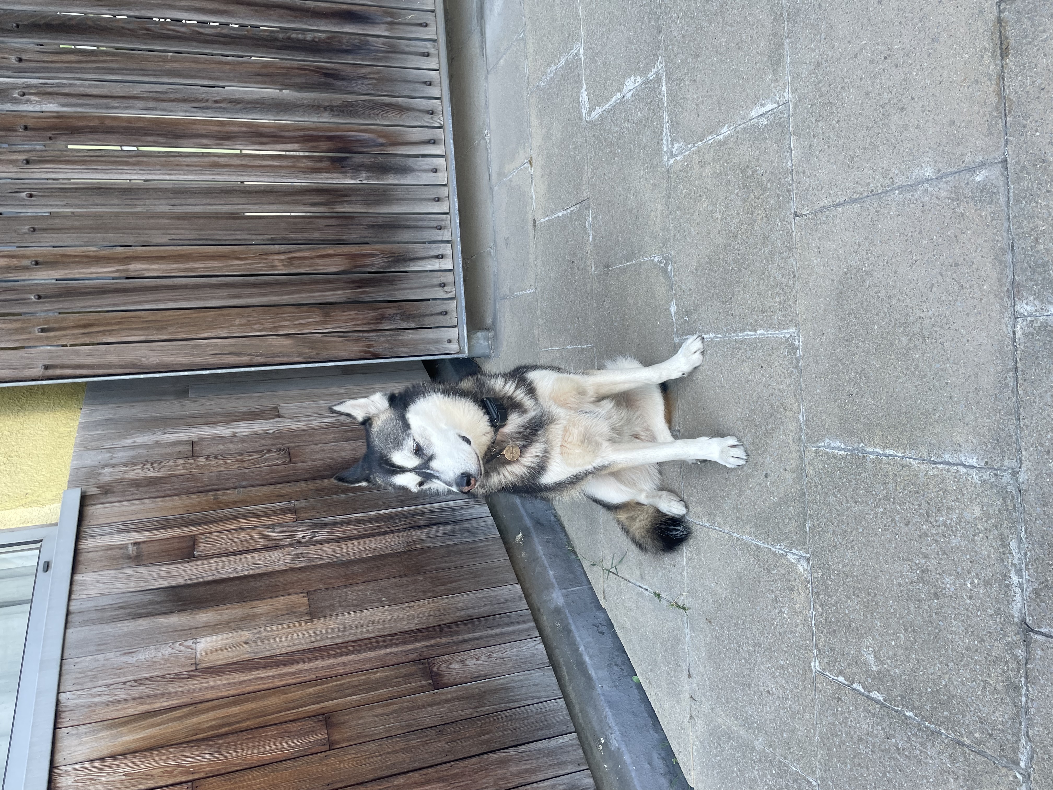 image-5