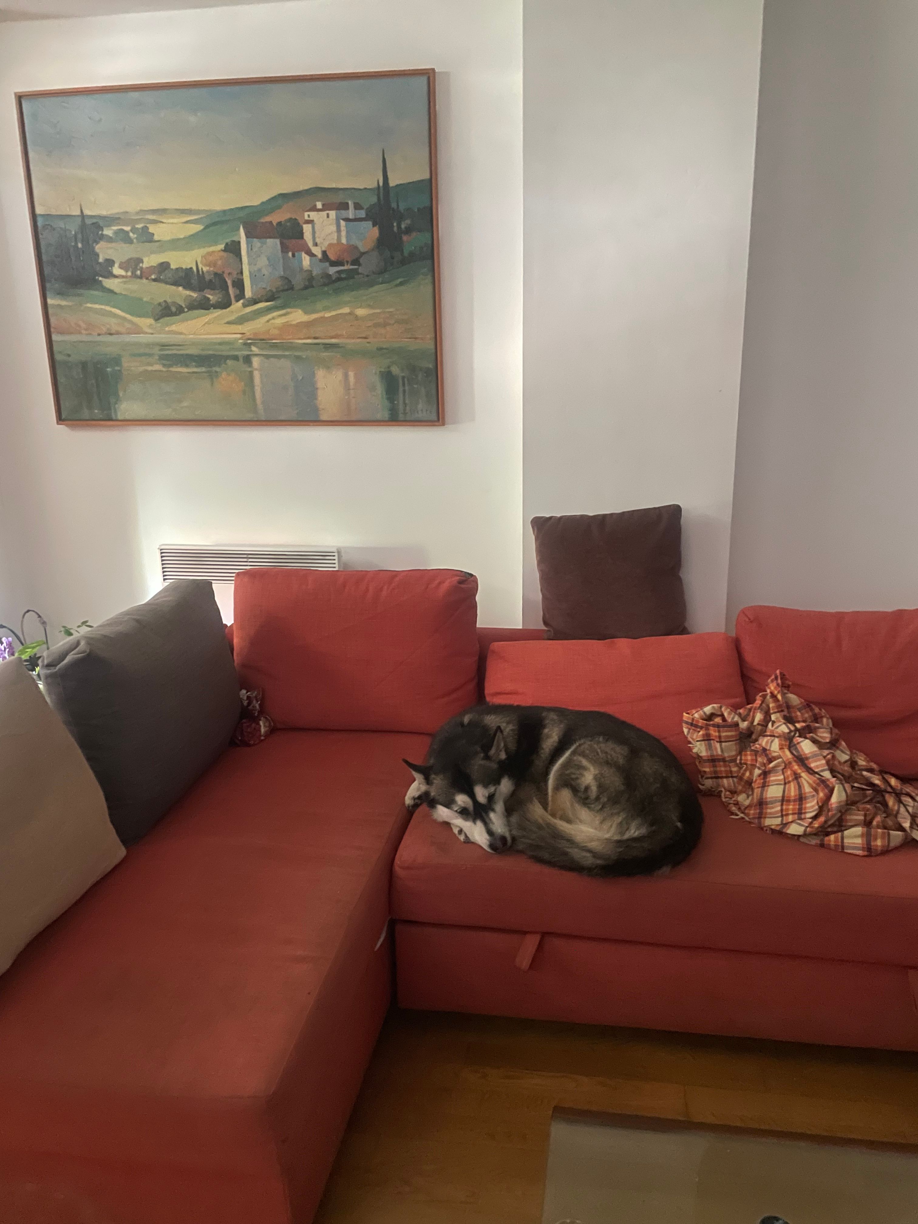 image-15