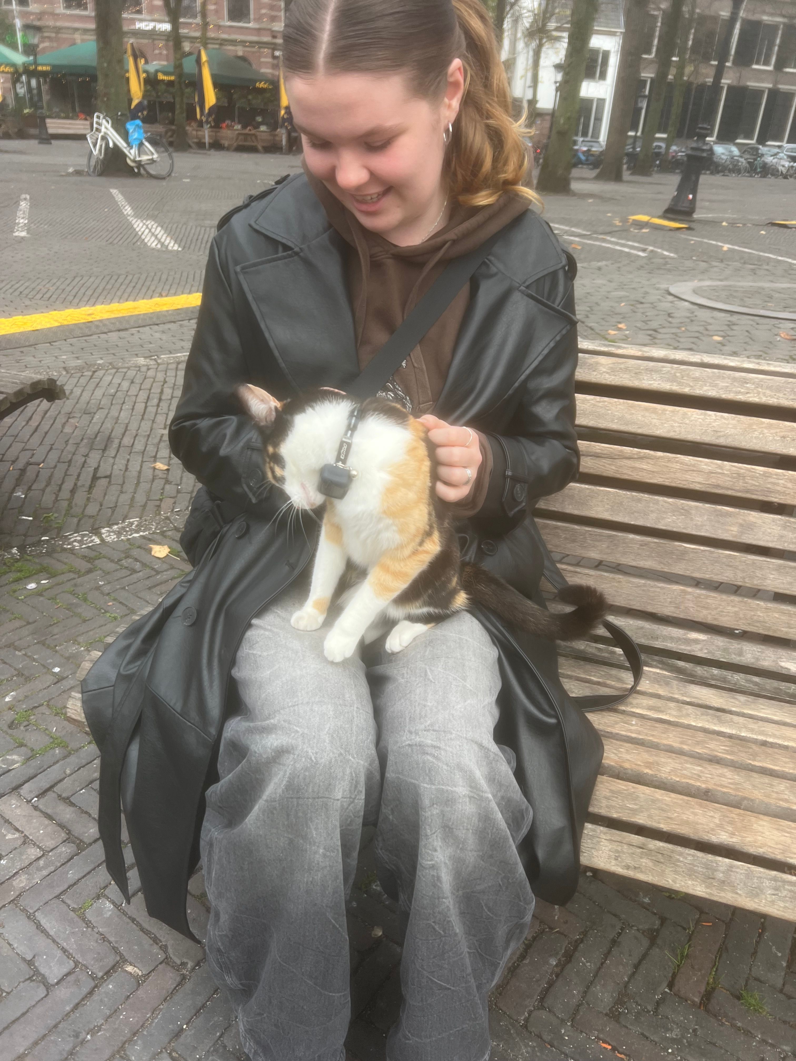 image-8