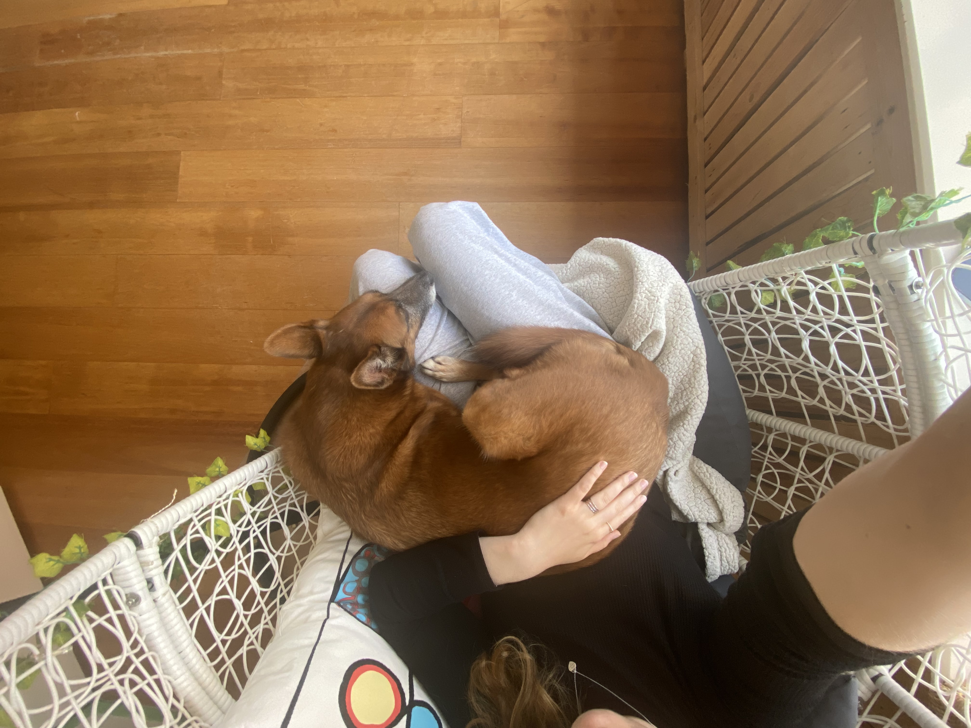 image-6
