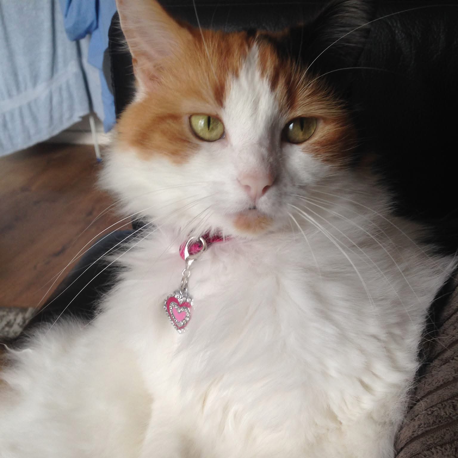 Abby