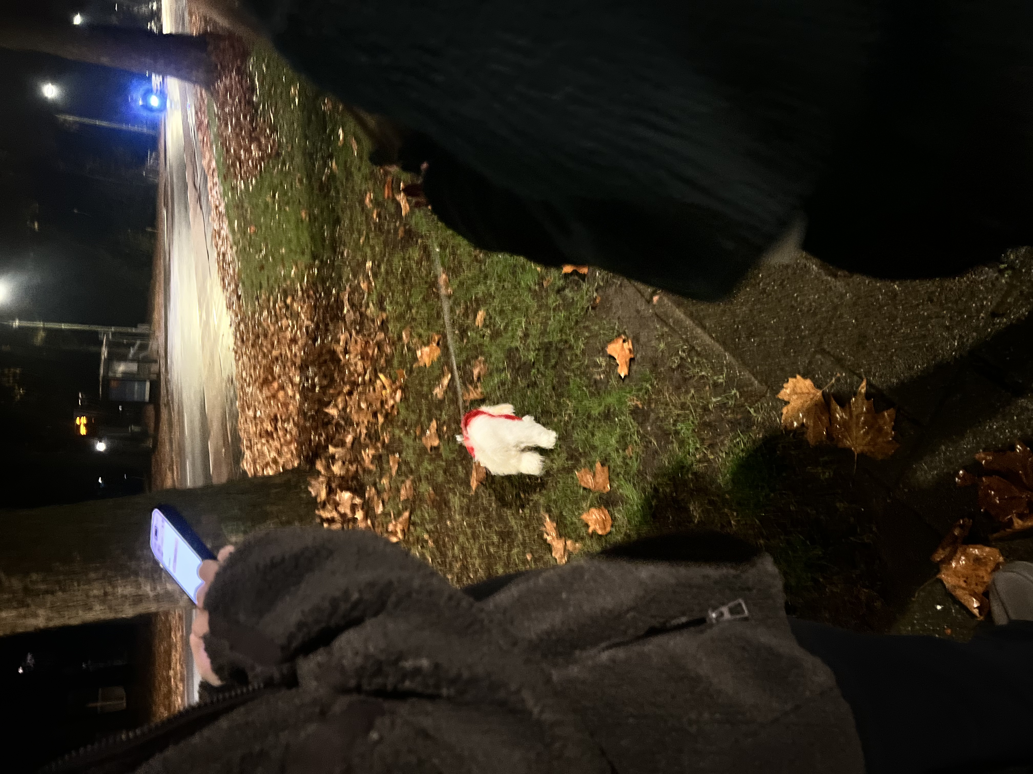 image-11