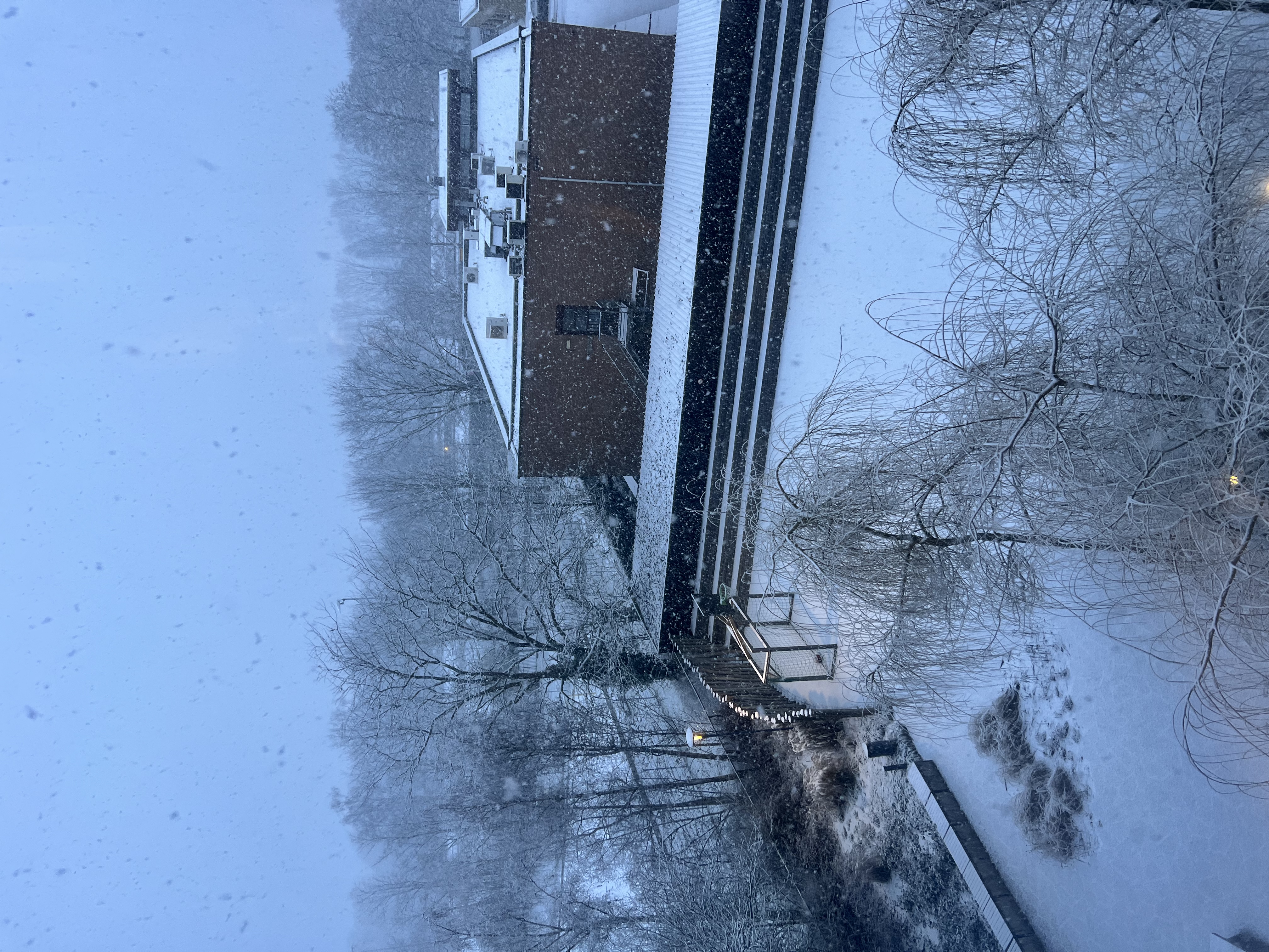 image-14