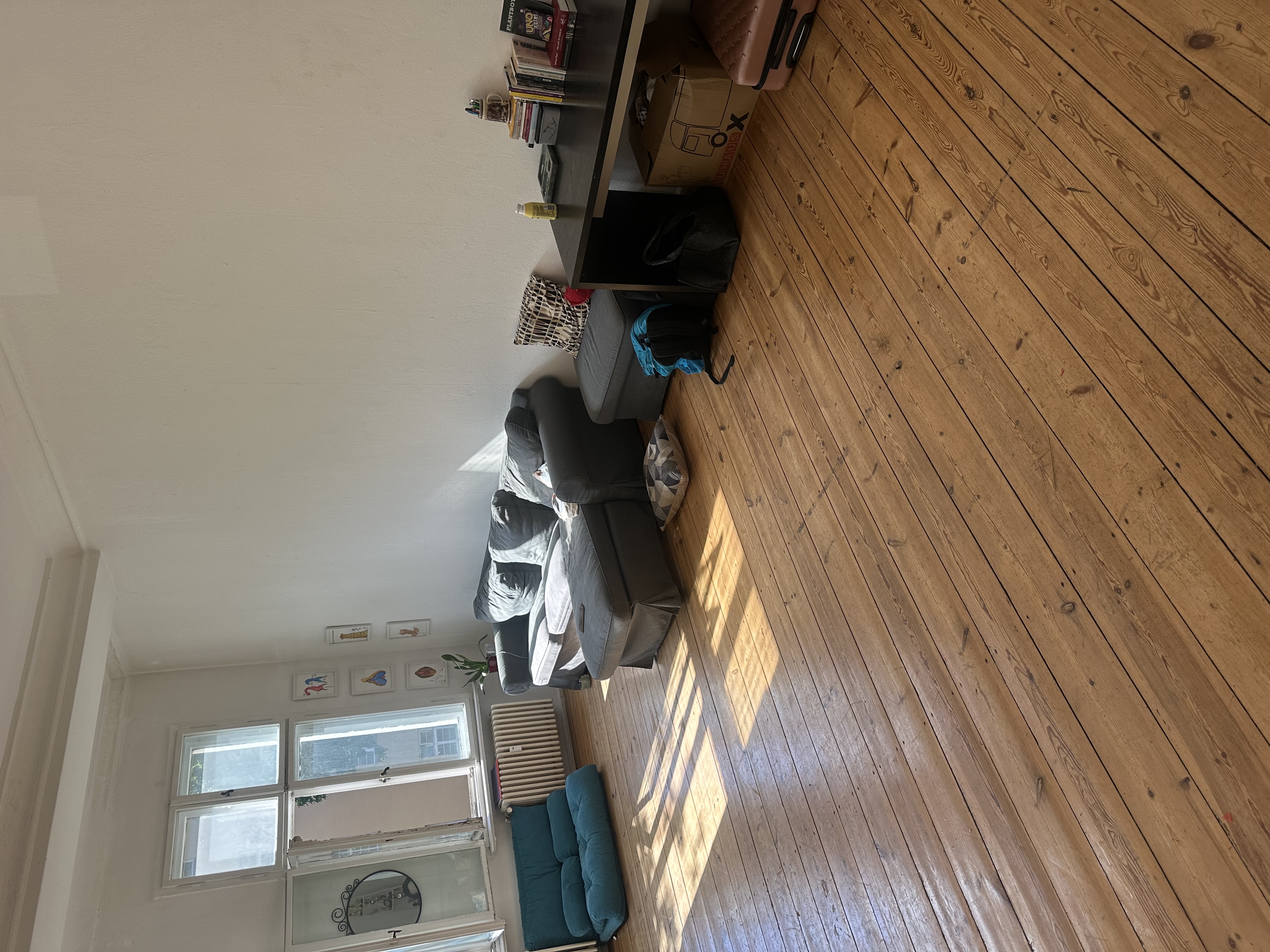 image-19