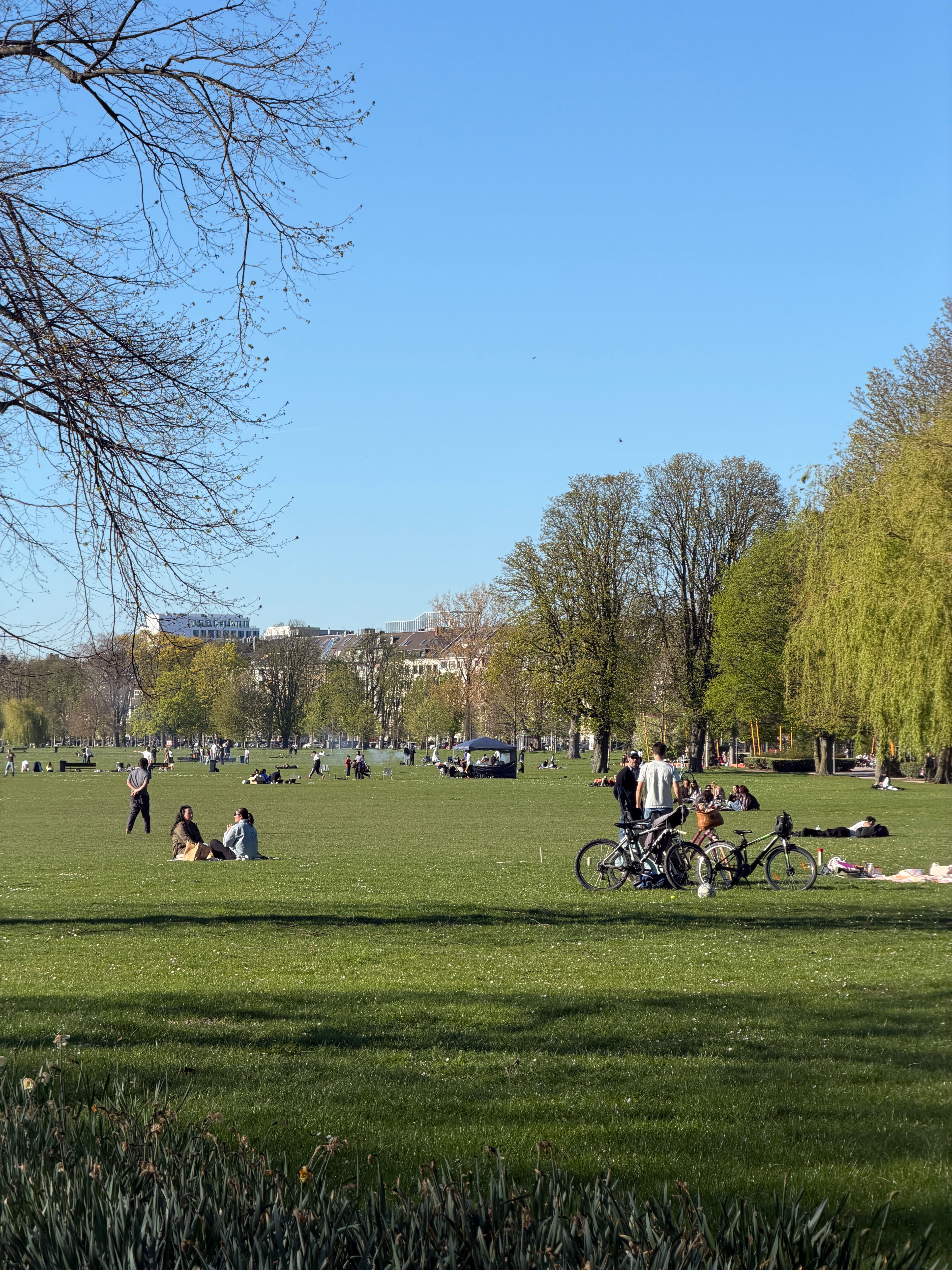 image-19