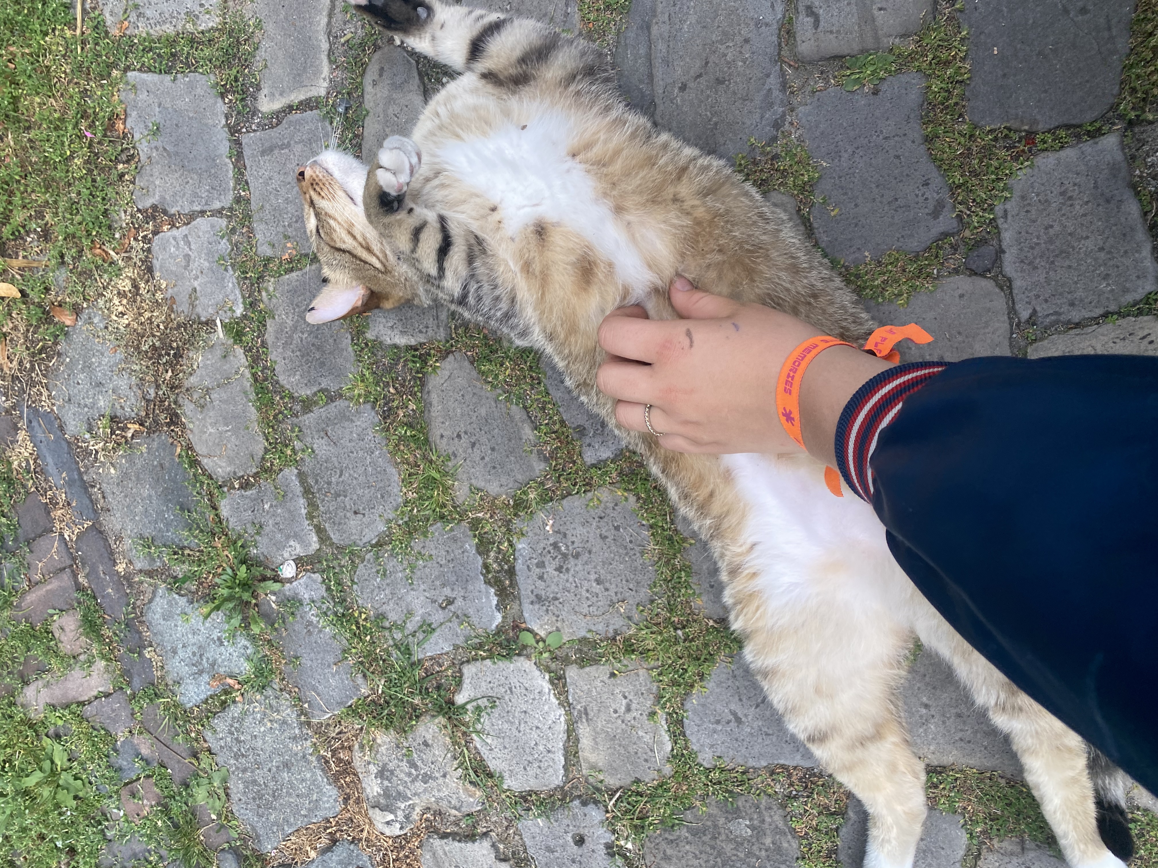 image-5
