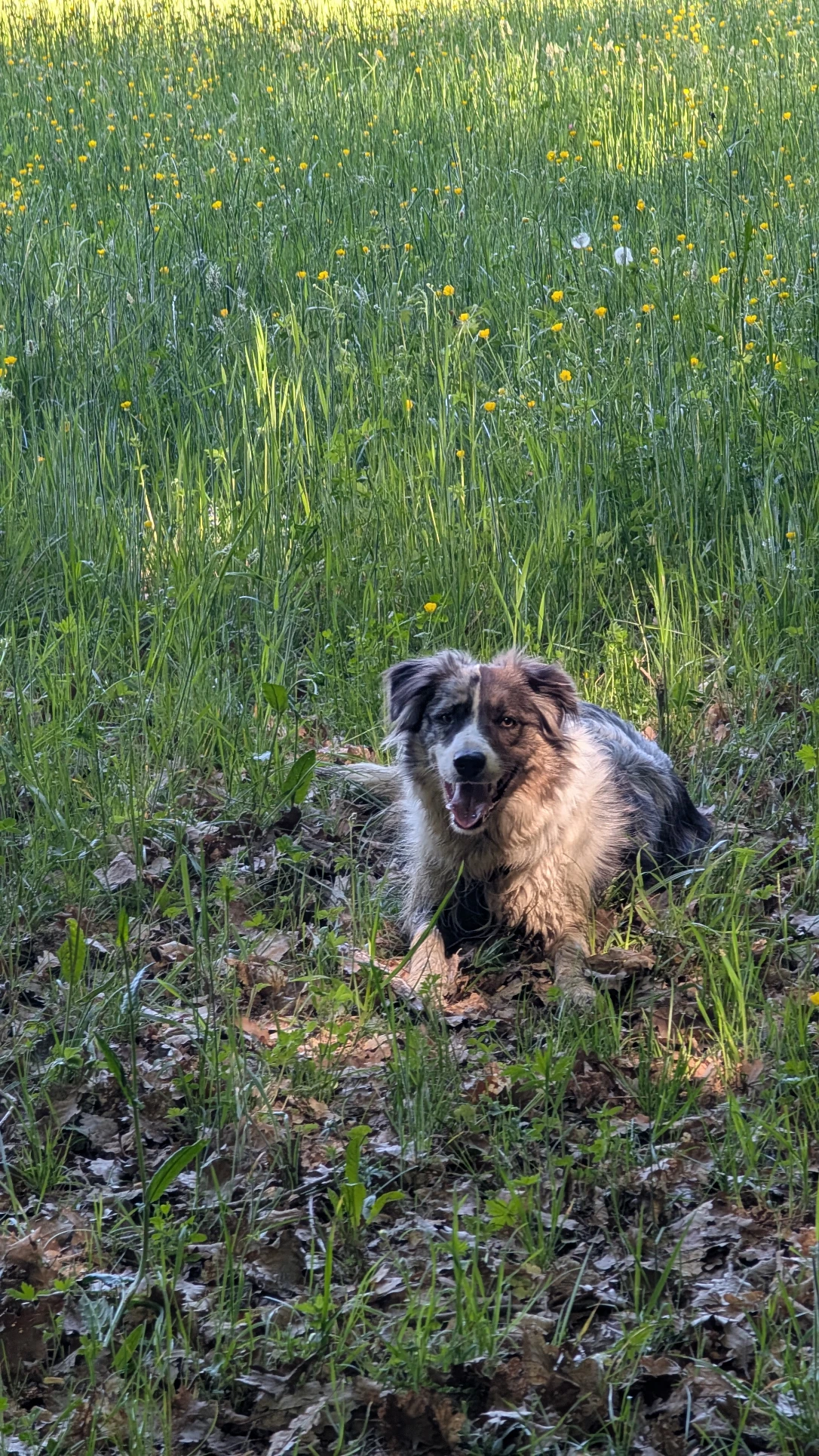 image-15