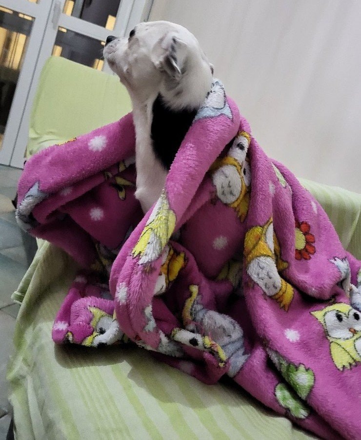 image-9
