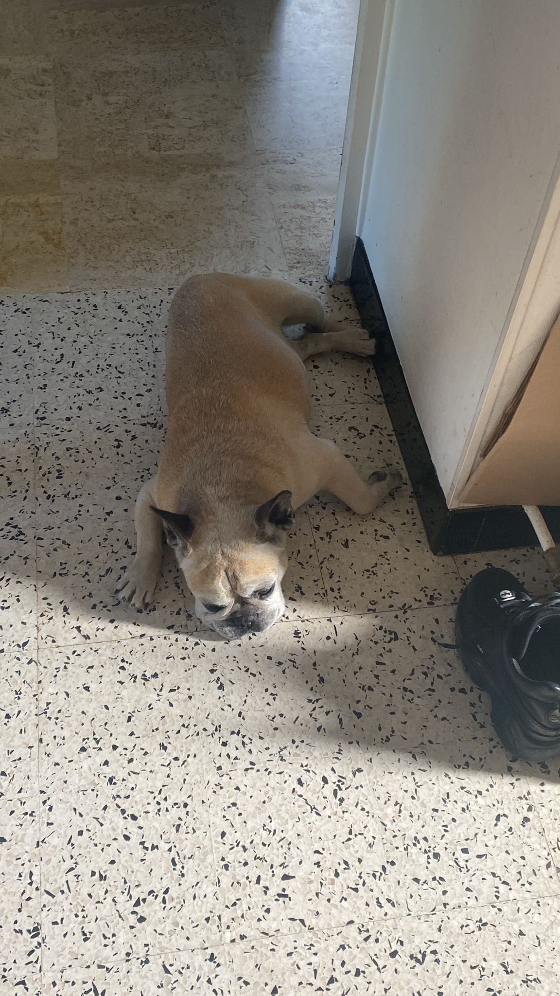 image-6