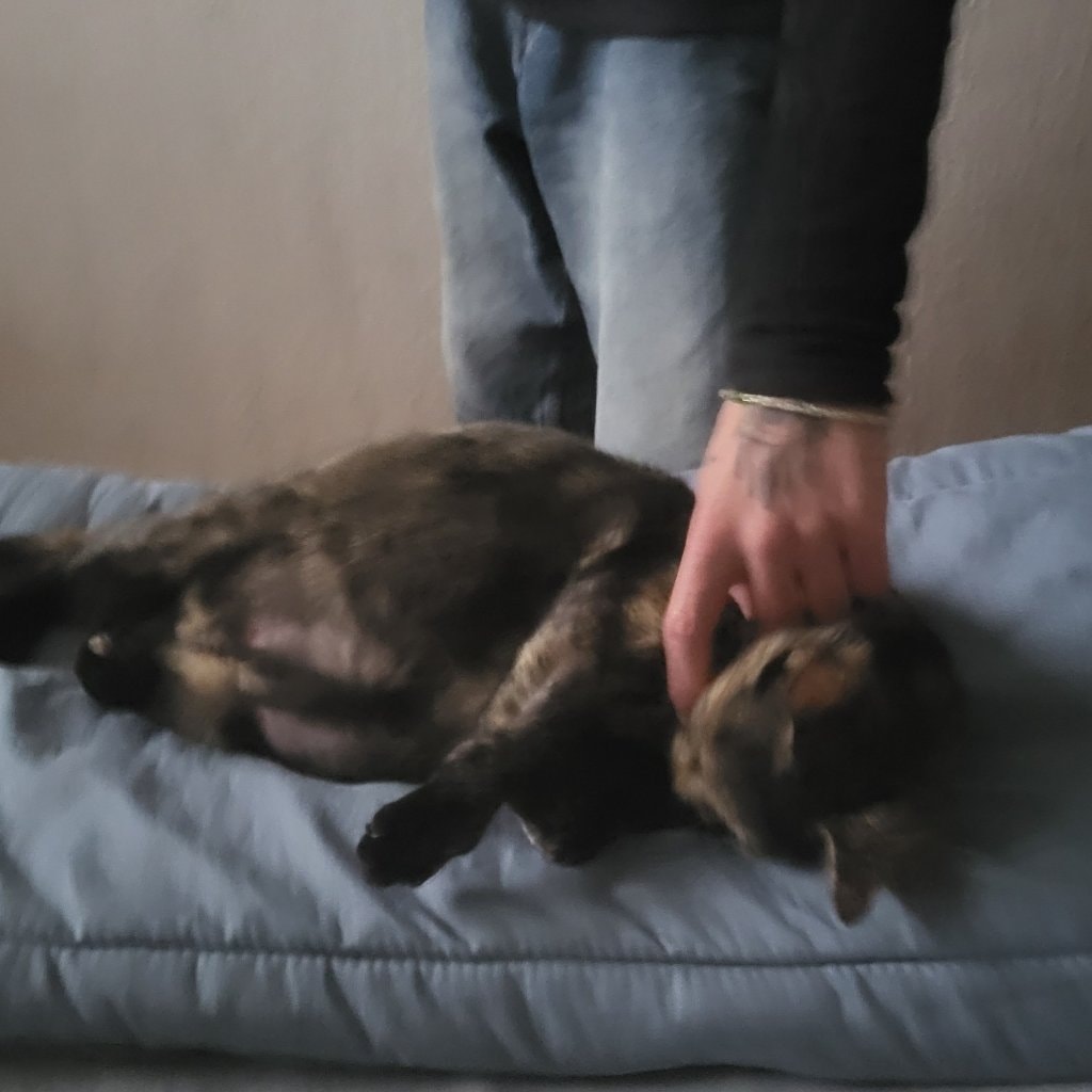 image-3